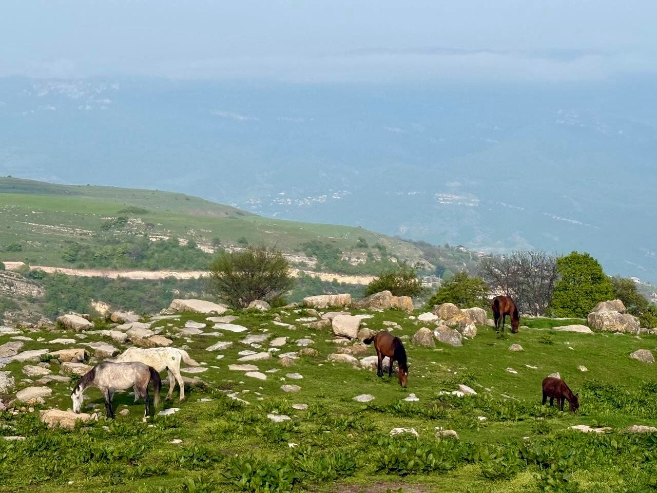 Фото Апага Резорт