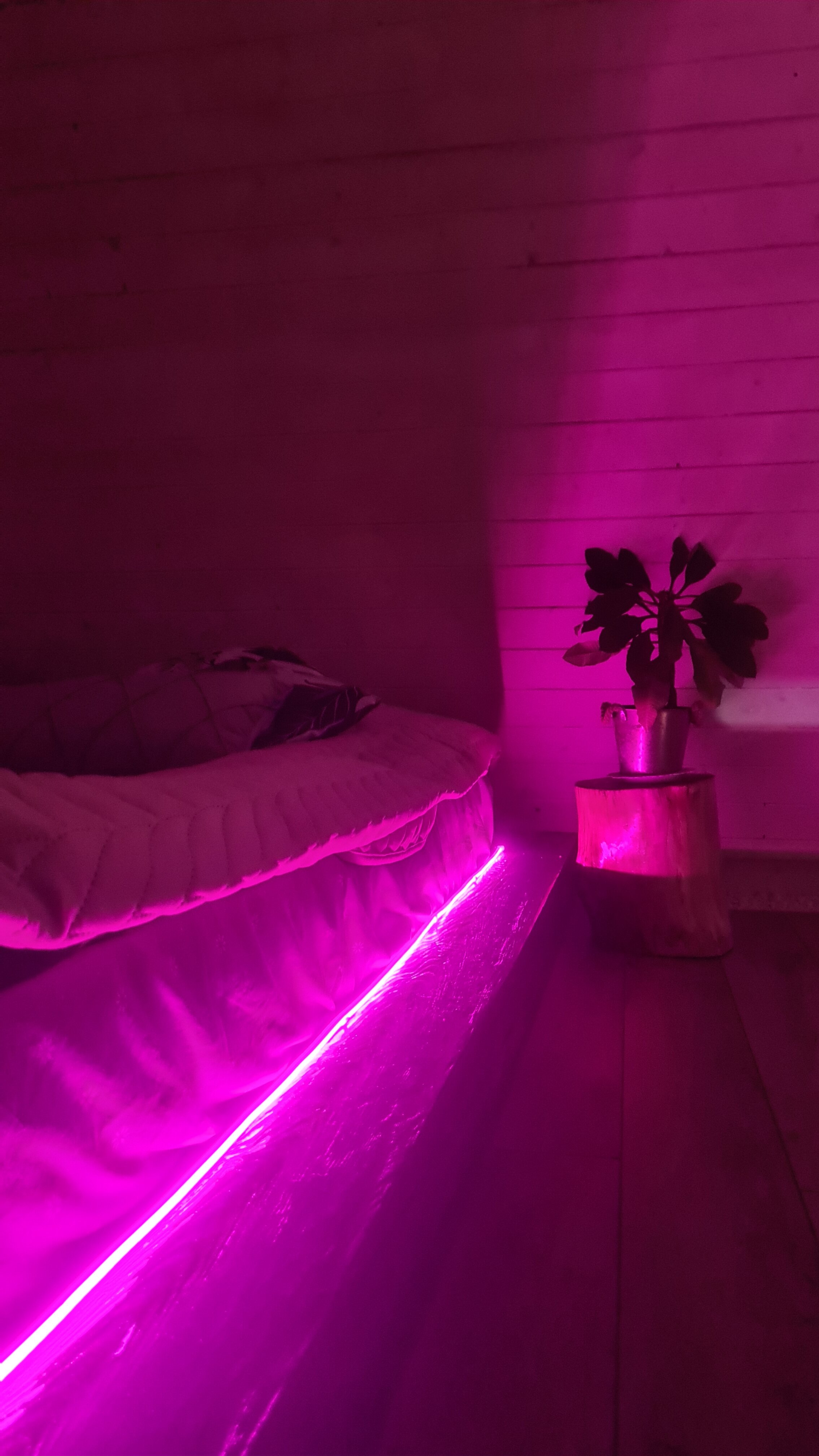 Фото Дом у озера в лесу