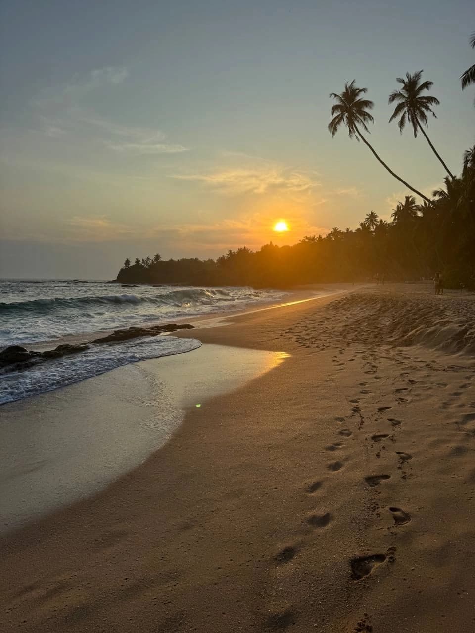 Фото Sooriya Resort & SPA