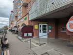 НИОЙЛ-Групп (Yubileiynaya Street, 36), autocosmetics, auto chemical goods