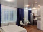 Апартаменты Студия в центре (Leninskiy Avenue, 27к2), short-term housing rental