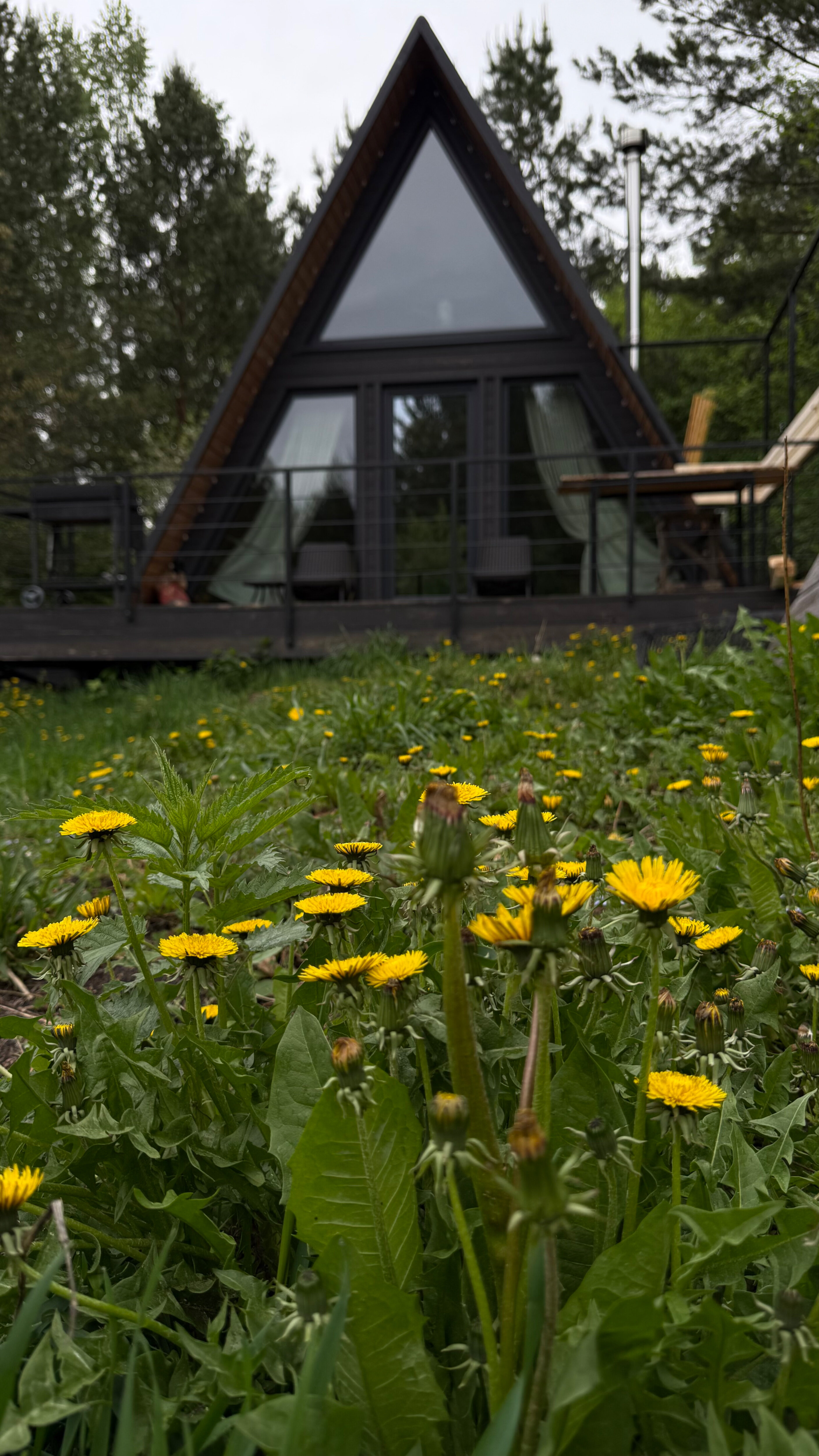 Фото Белкин дом