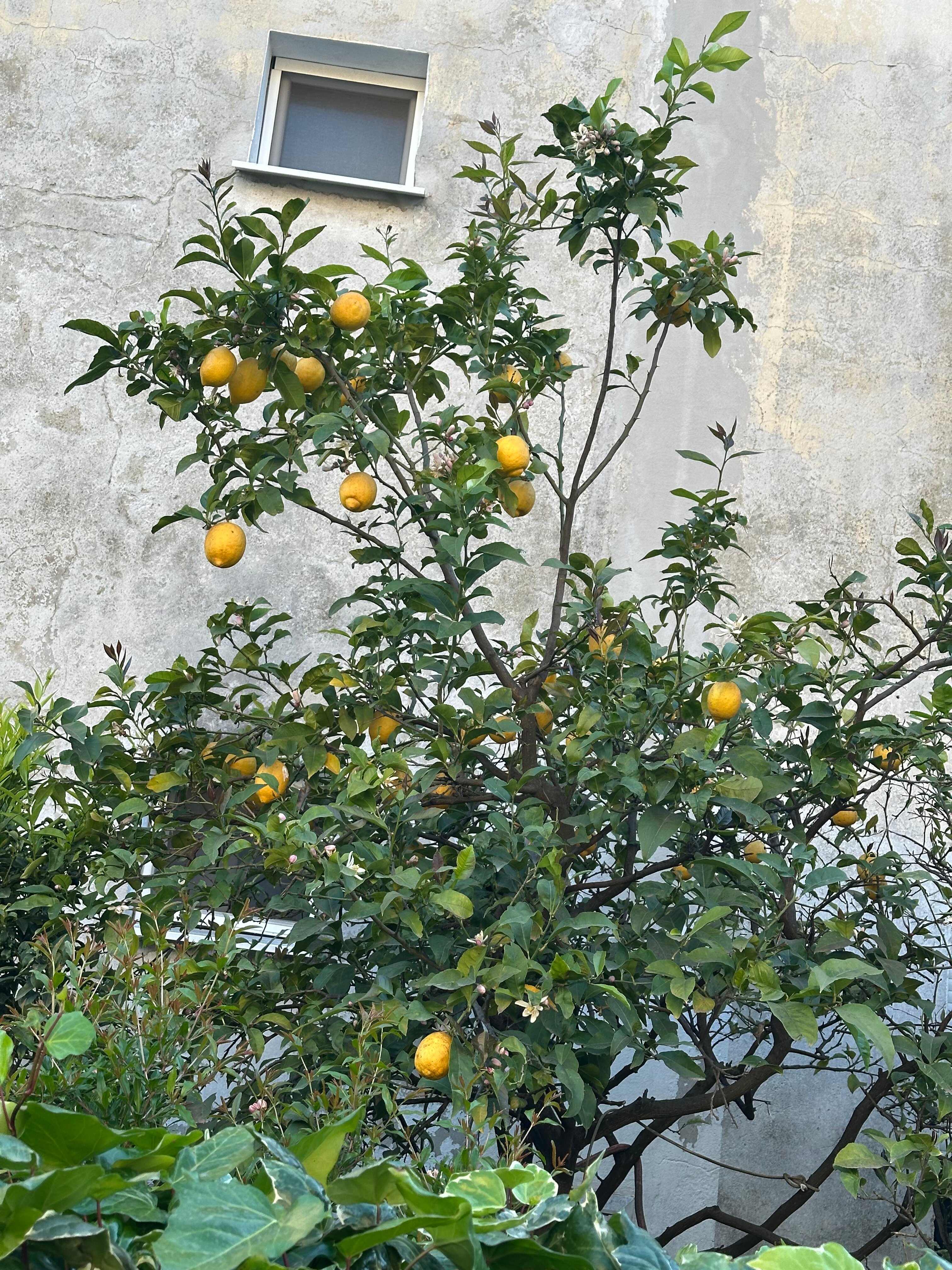 Фото Hyatt Regency Kotor Bay Resort