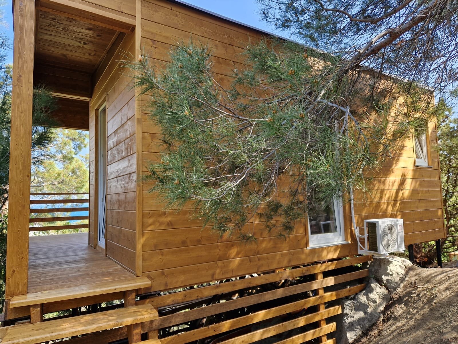 Фото Панорама