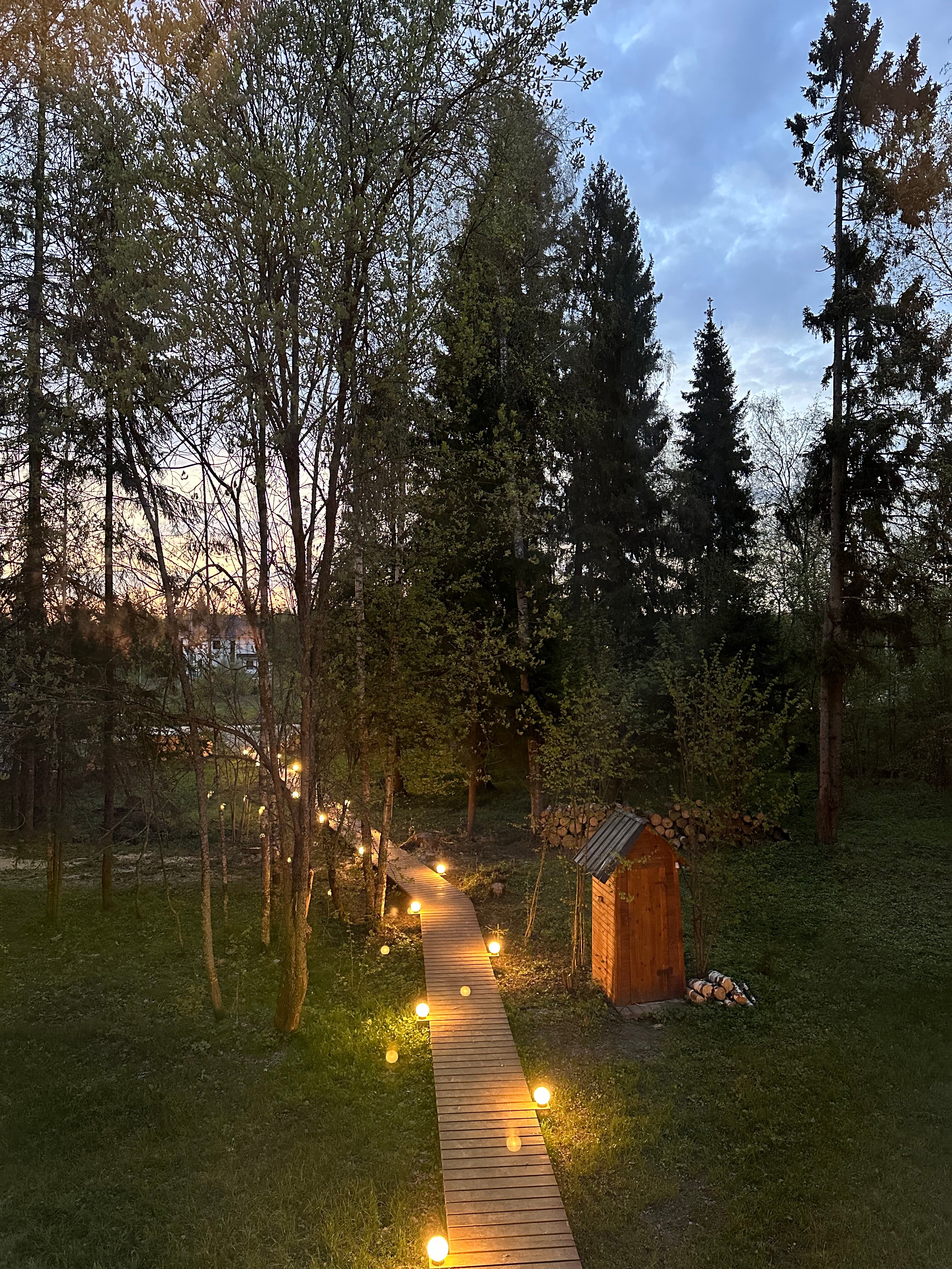 Фото Хвоя Secret Place