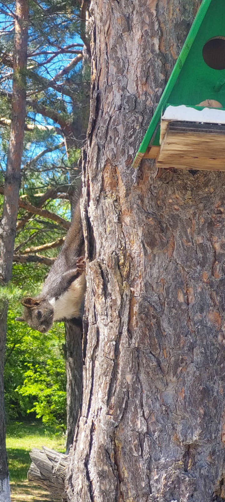 Фото Восток