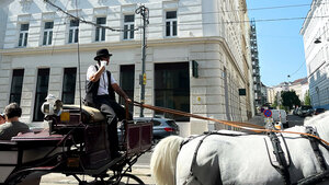 Гостиница Jimmy