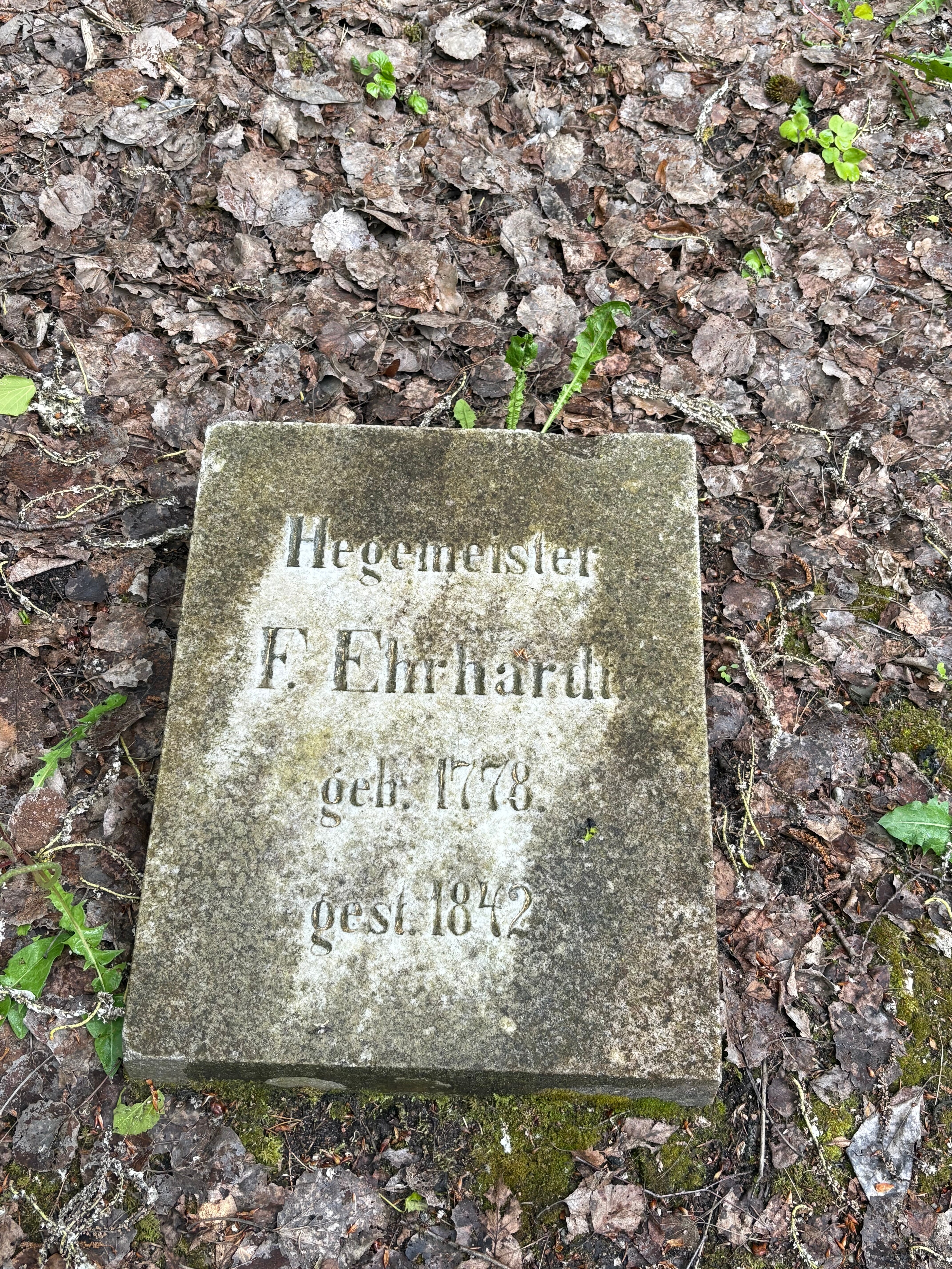 Фото У Степана