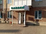 Garden (ulitsa Nevskogo, 21) ، محل زهور