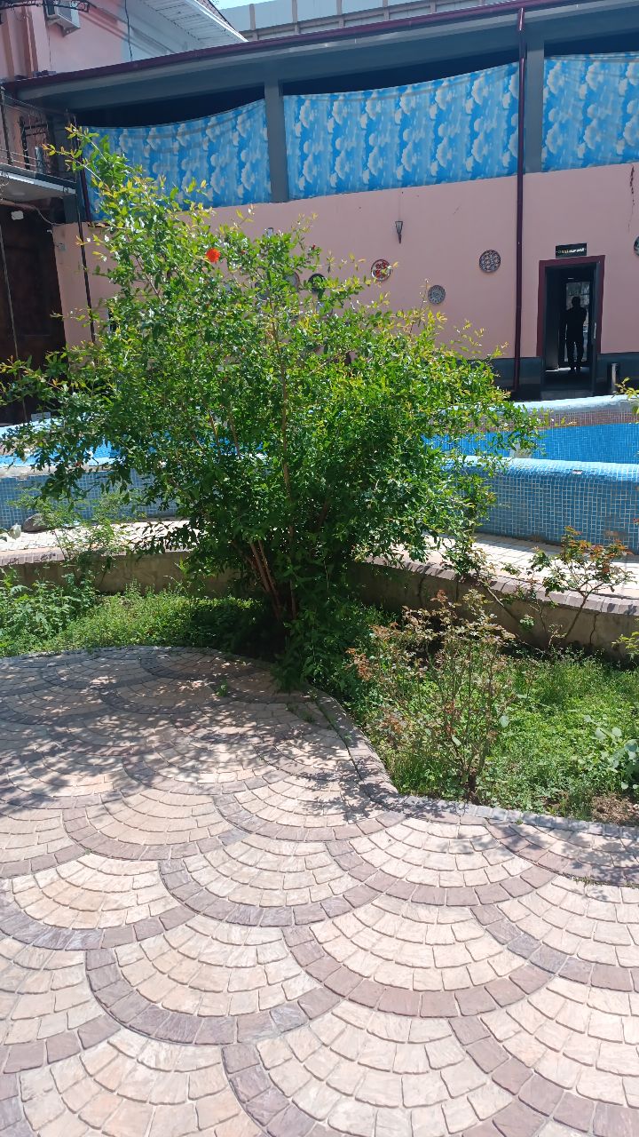 Фото Art House Hotel