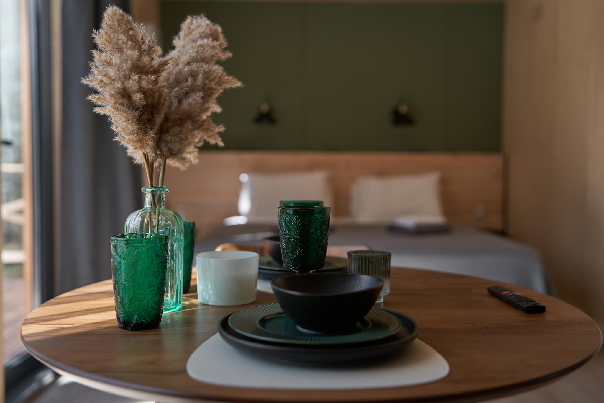 Фото Снежные Гуси