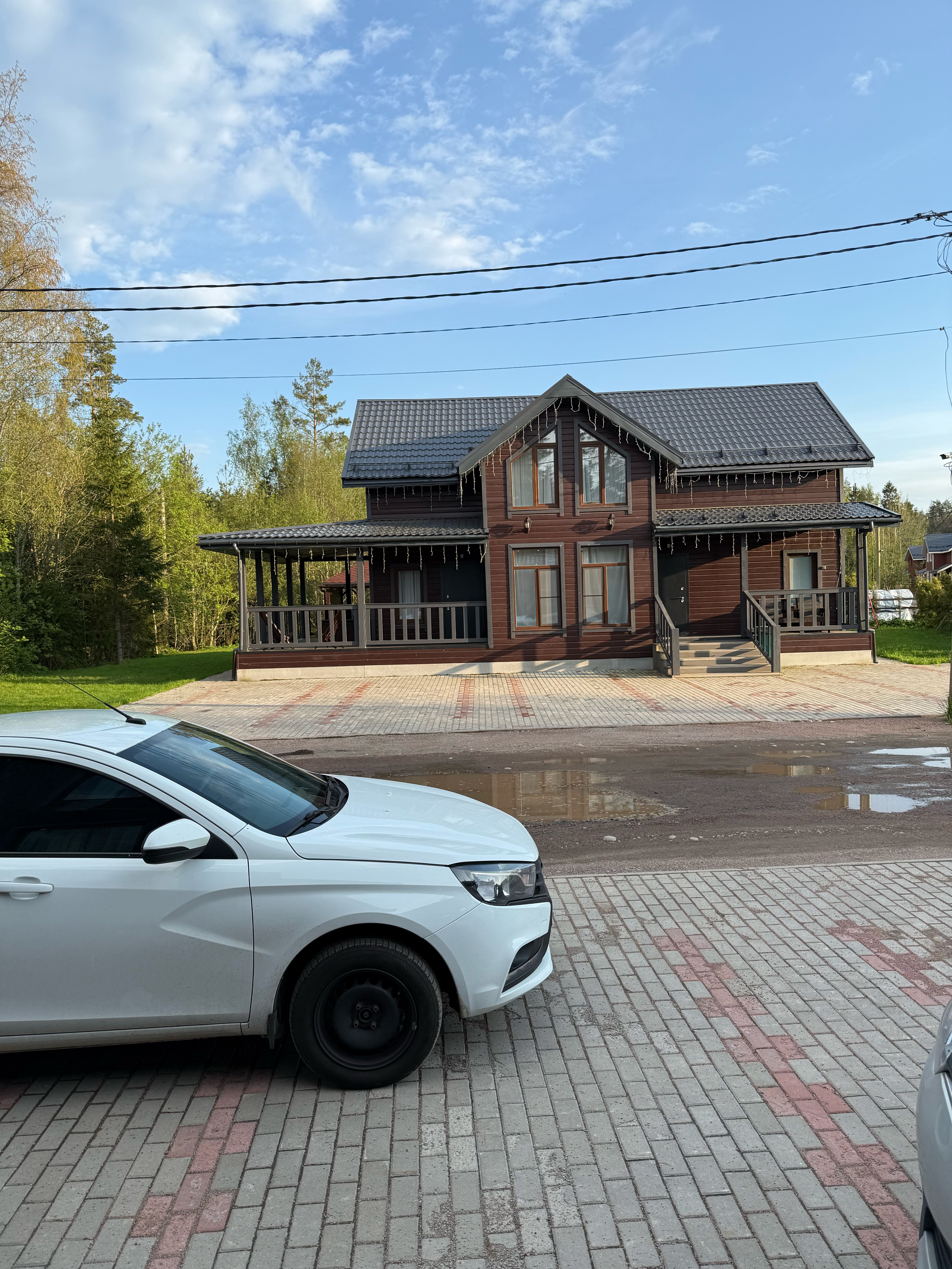 Фото Лесная Сова