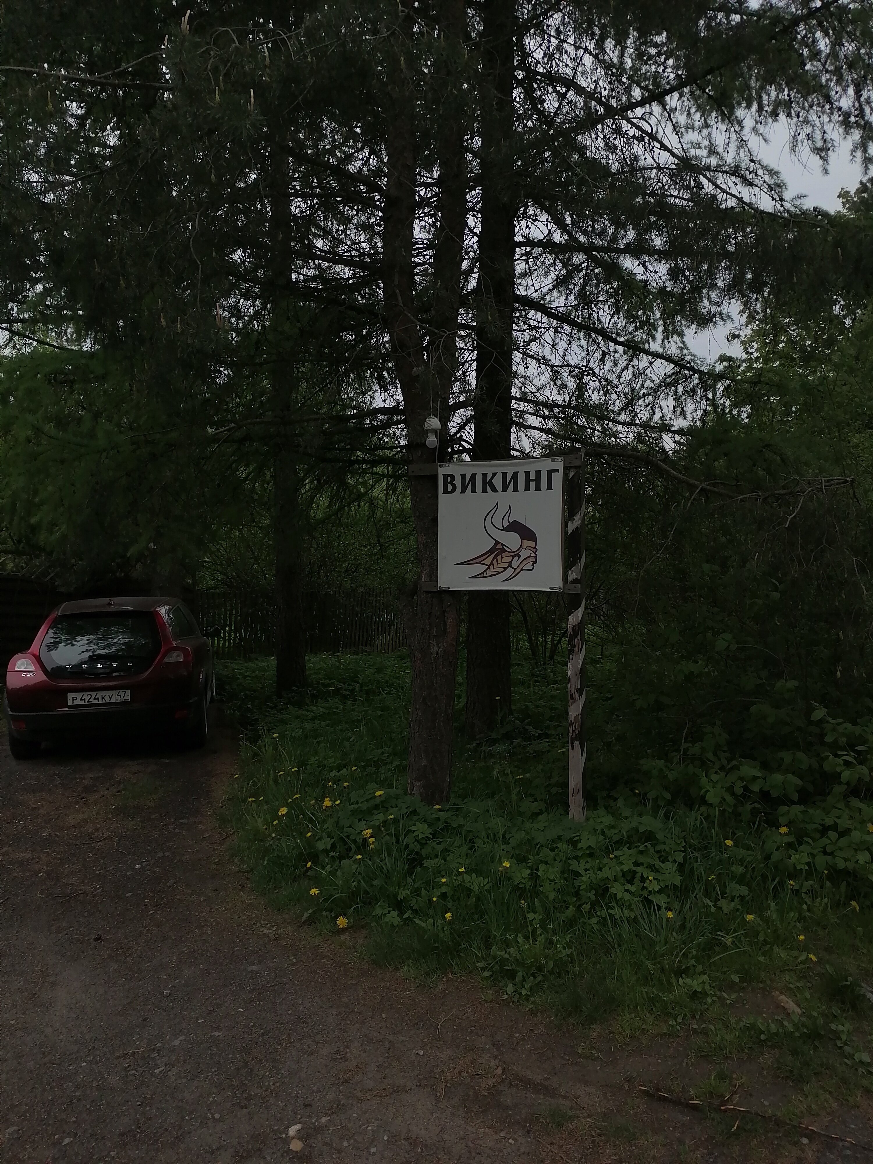 Фото Викинг