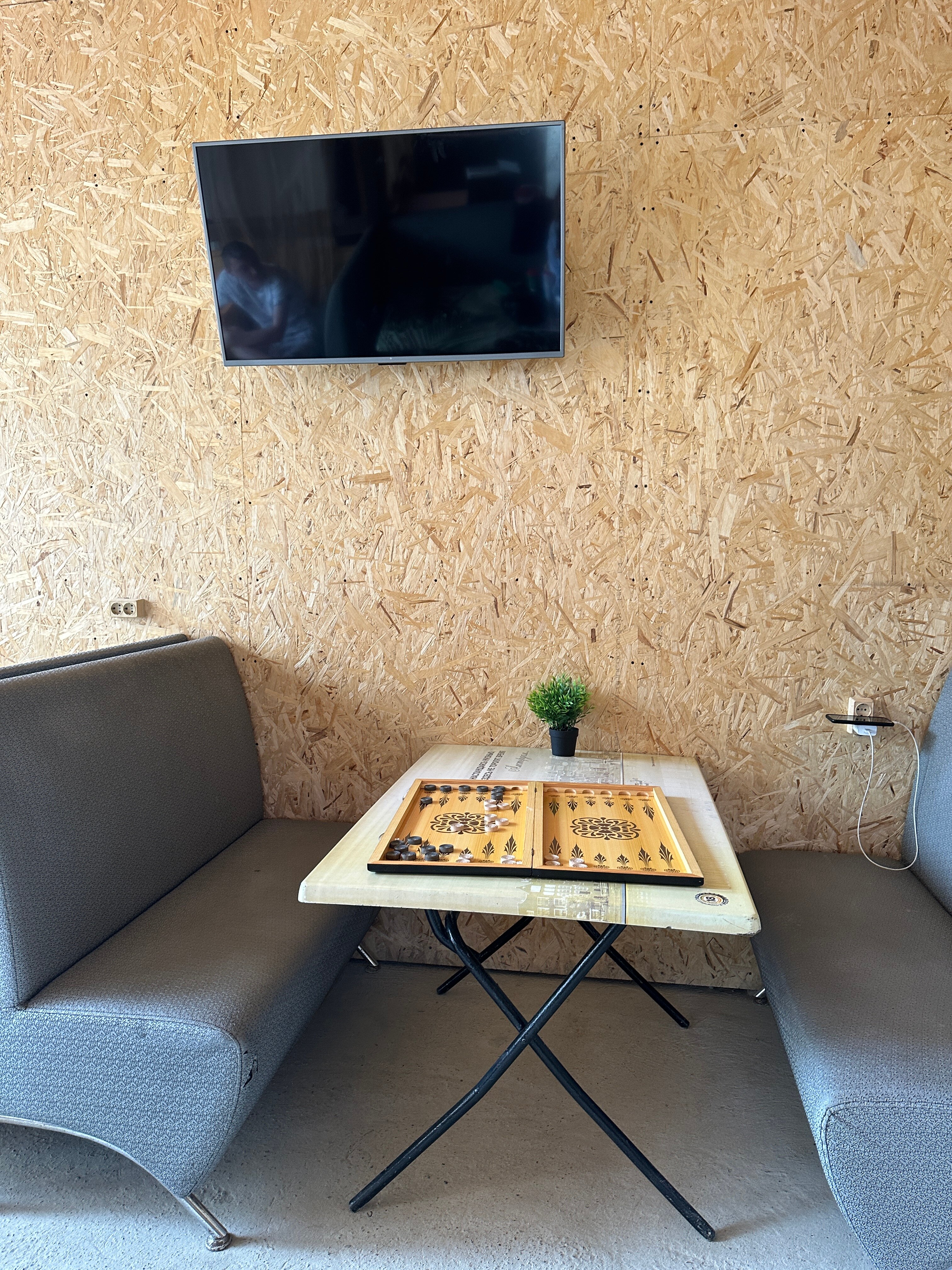 Фото Золотой абрикос