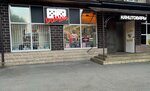 Домино (ulitsa Galkovskogo, 235) ، متجر أدوات مكتبية