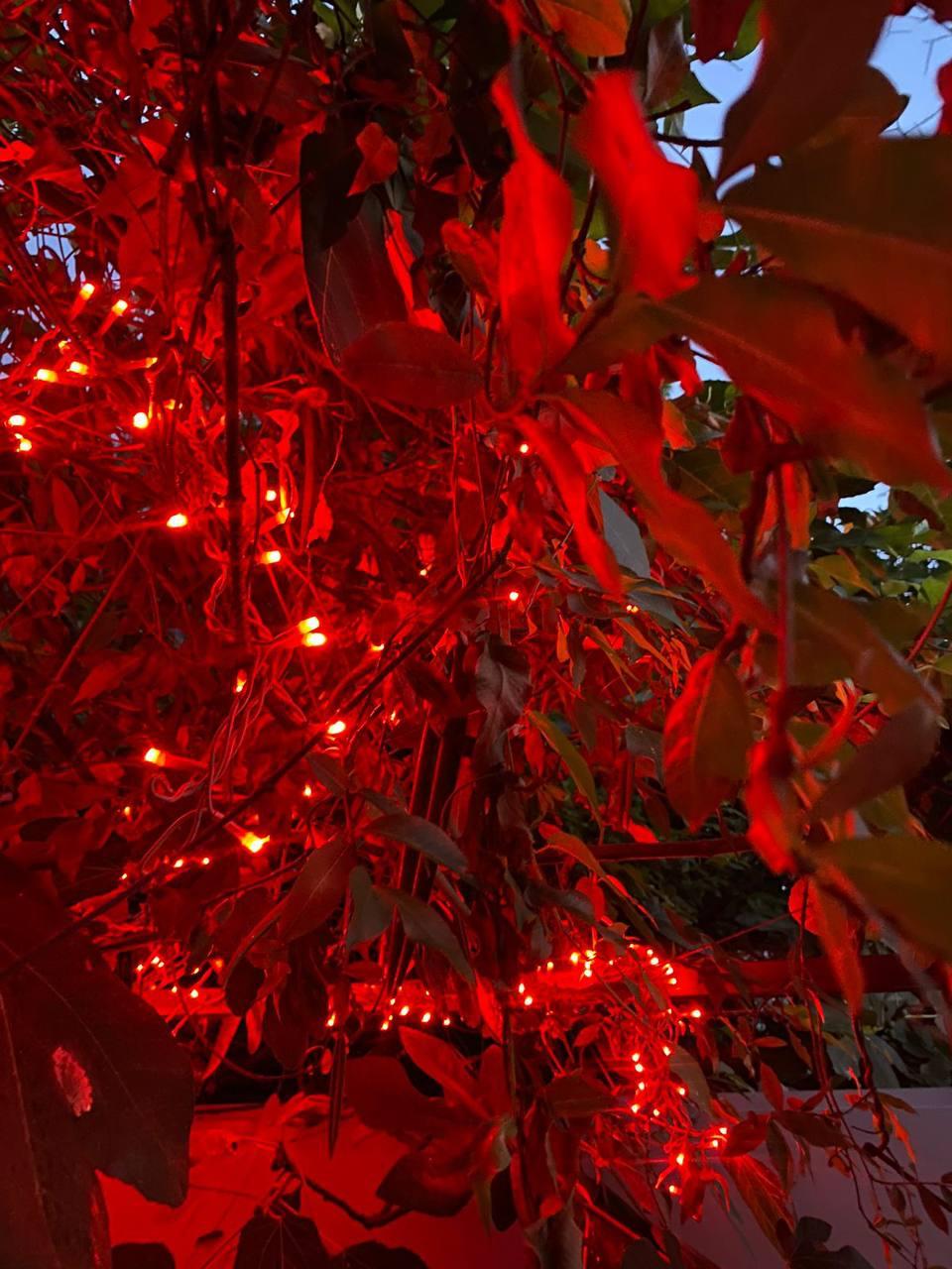 Фото Гостевой Дом на Яблочной