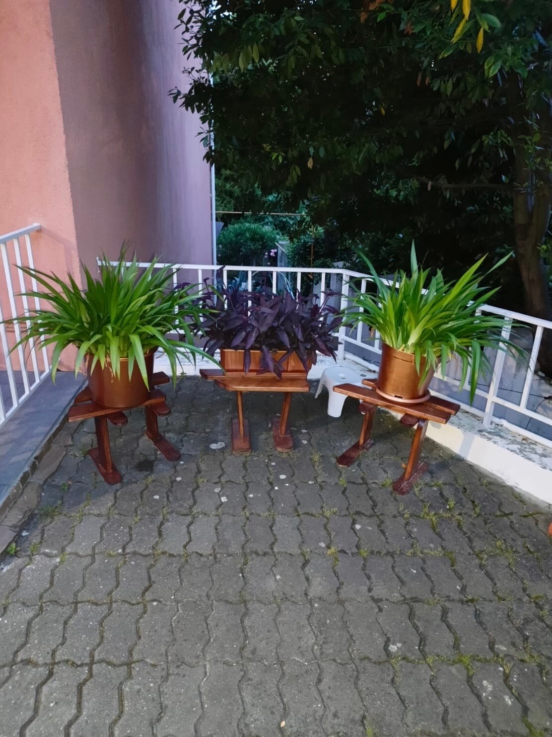 Фото Бамбуковый рай