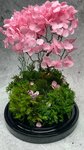 F1ora_svet (ulitsa Mira, 58/25), floristeria