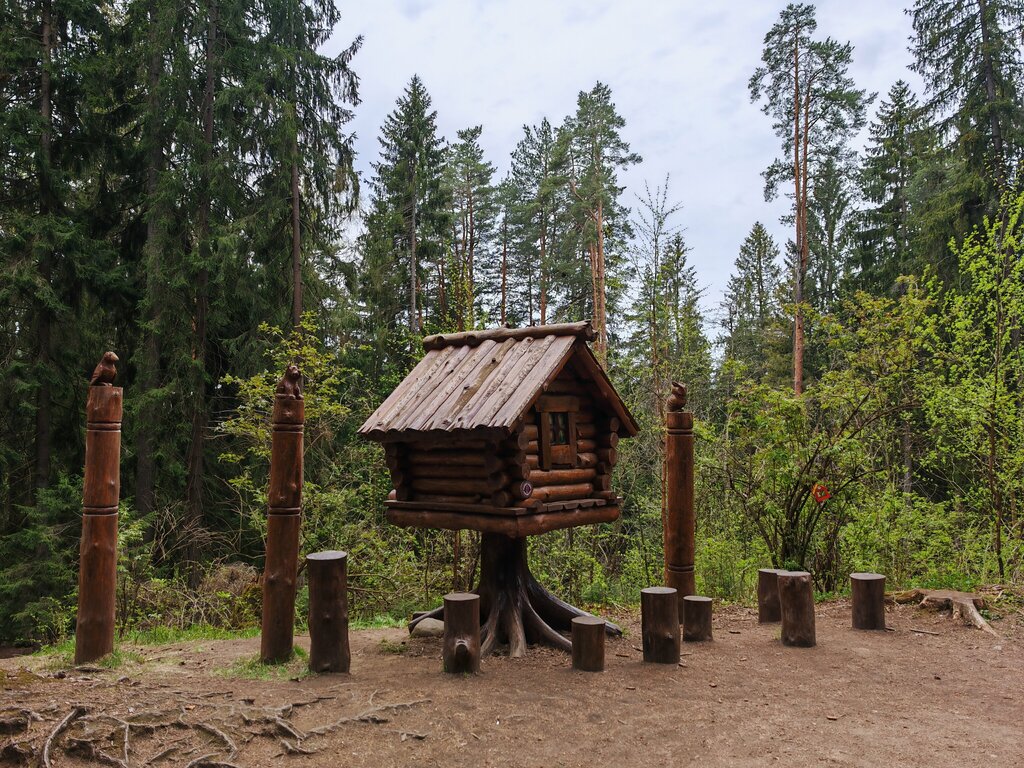 Landmark, attraction Школьная тропа Лесные сказки, Saint‑Petersburg and Leningrad Oblast, photo