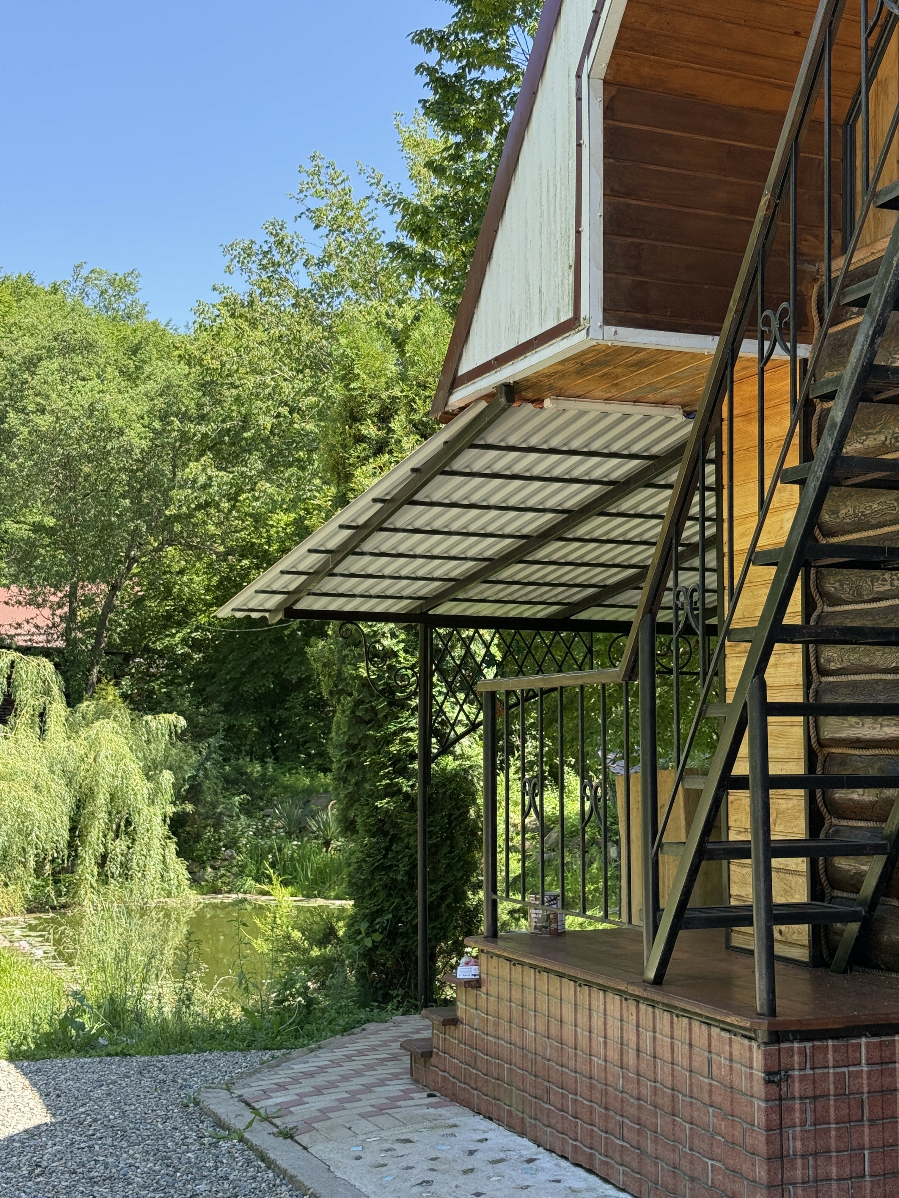 Фото Shelest Lesa