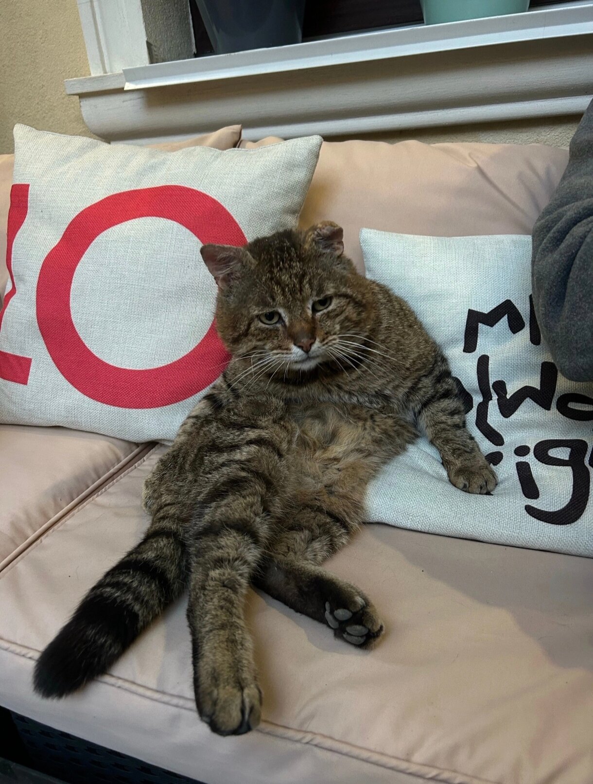 Фото Пушкин