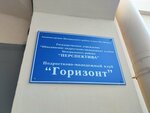 Горизонт (Vosstaniya Street, 20/16), club for children and teenagers