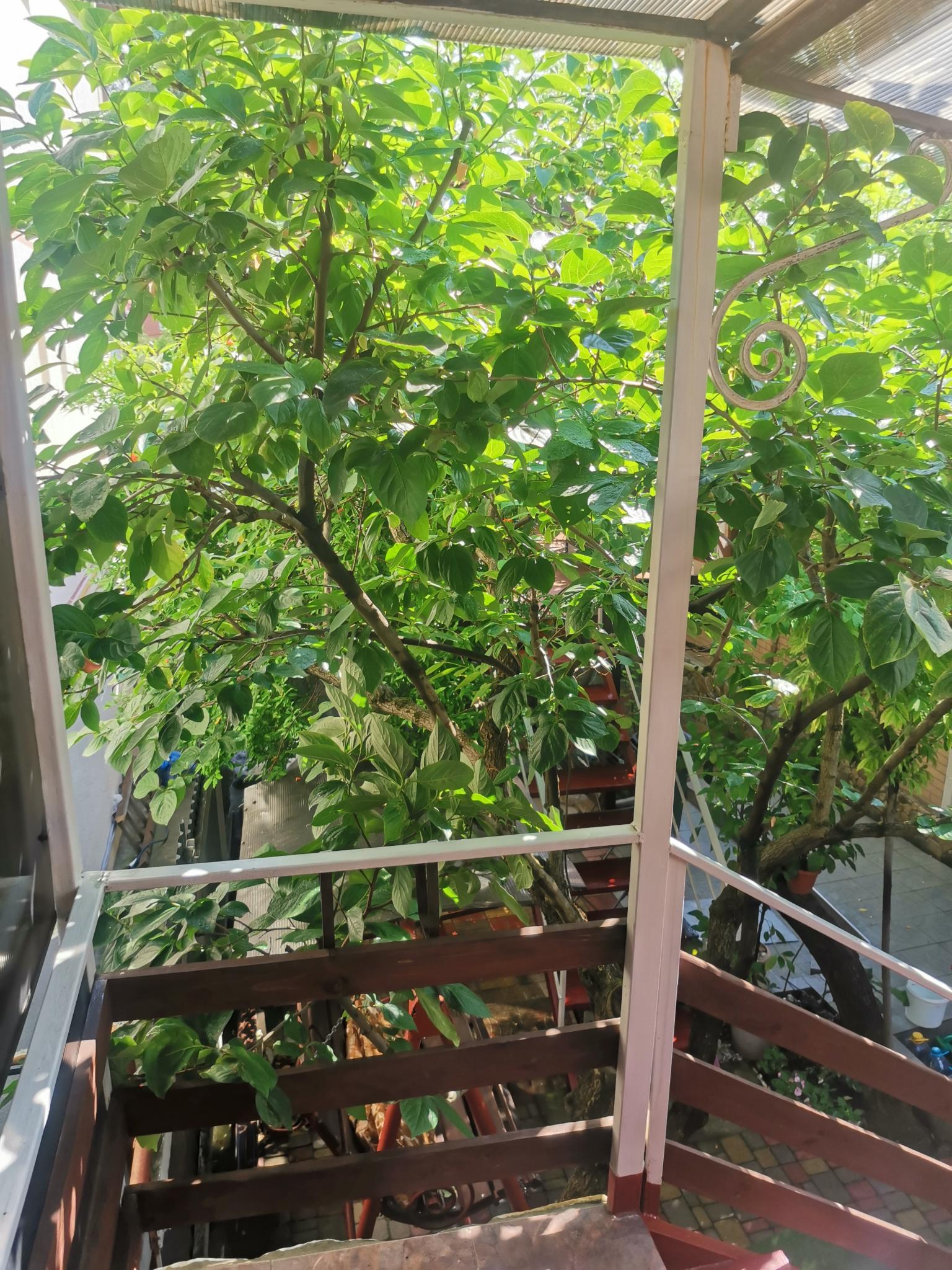 Фото Елисеевский