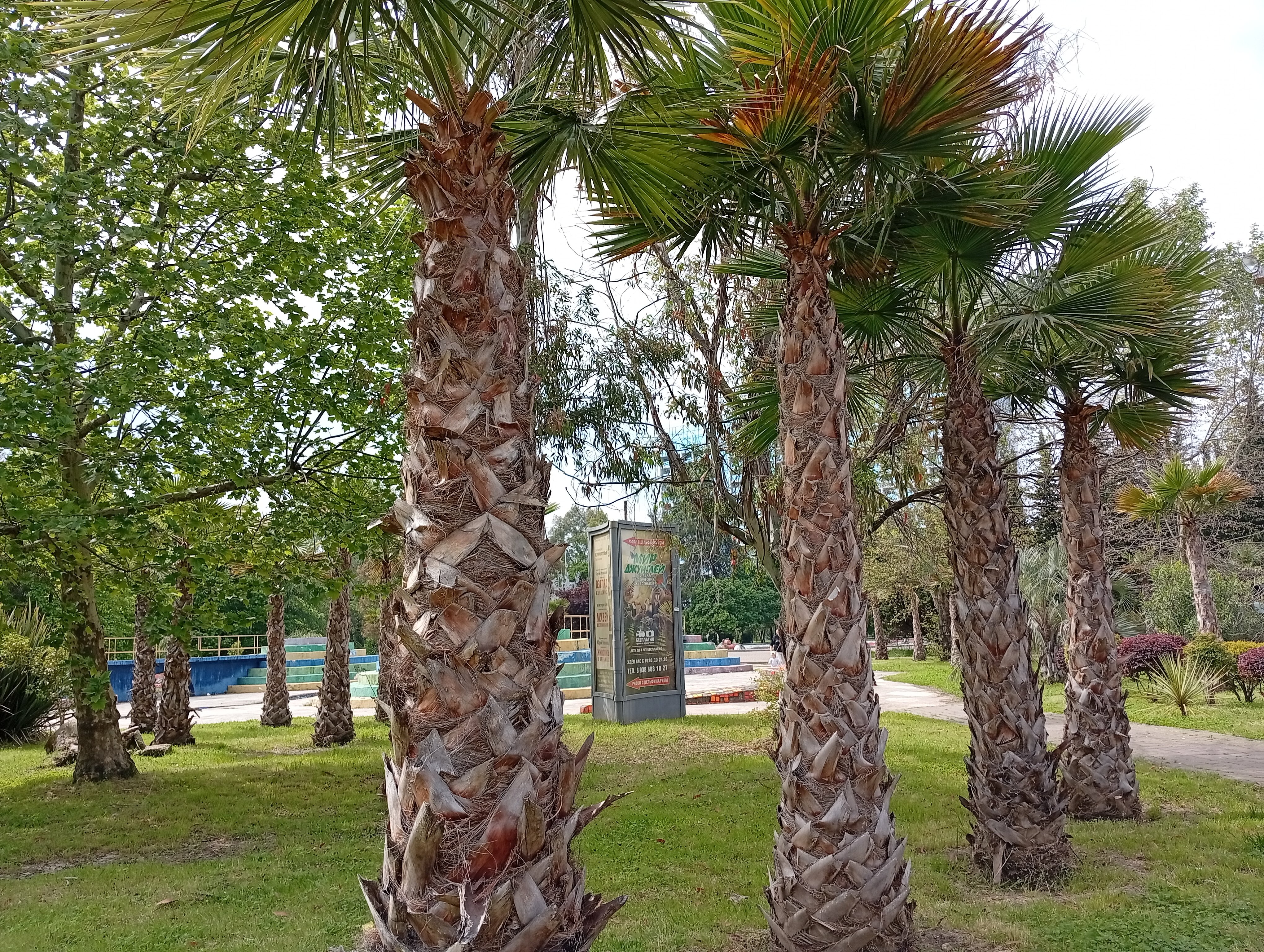 Фото Гостишка