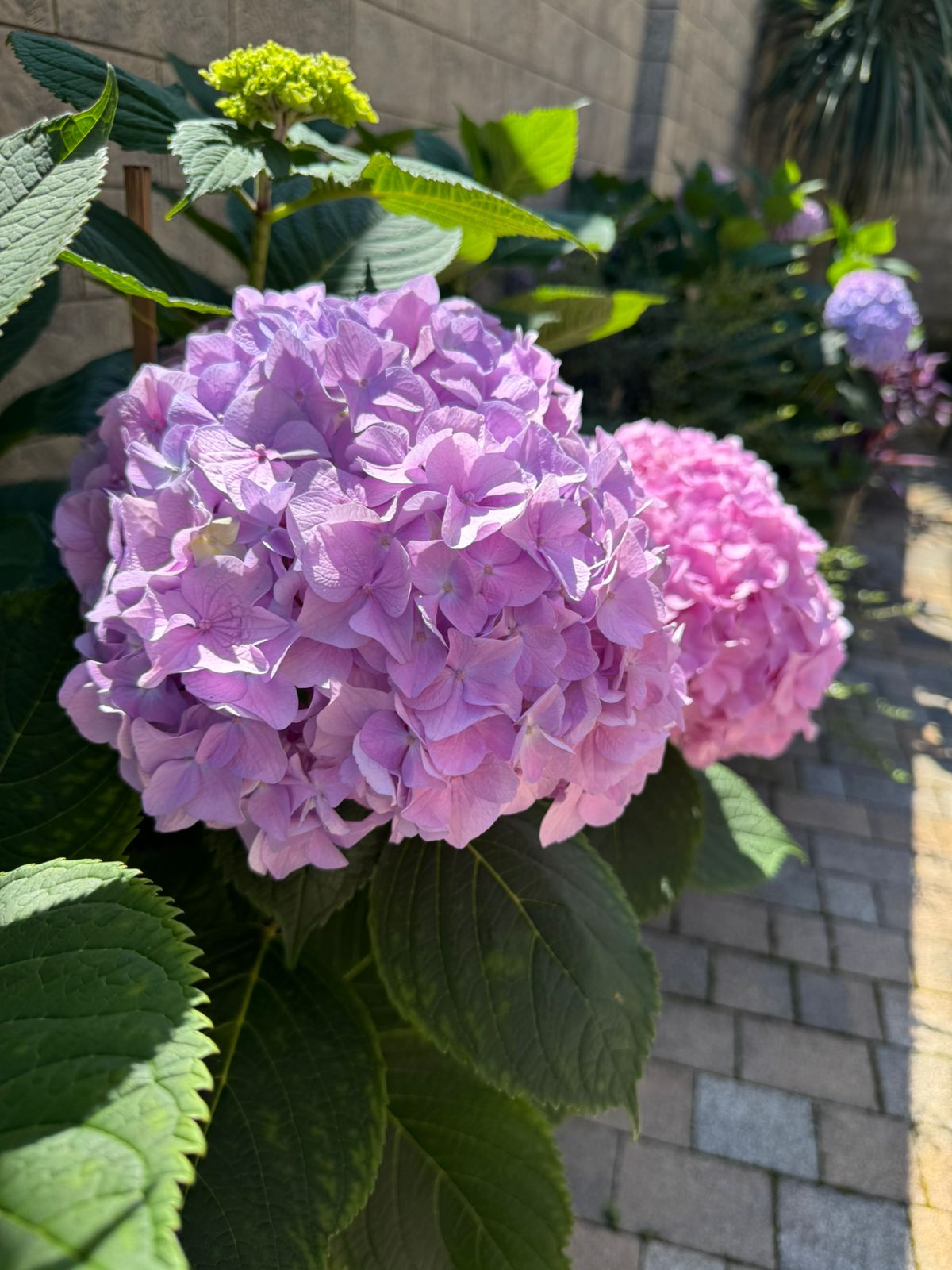 Фото LooSPAngeles