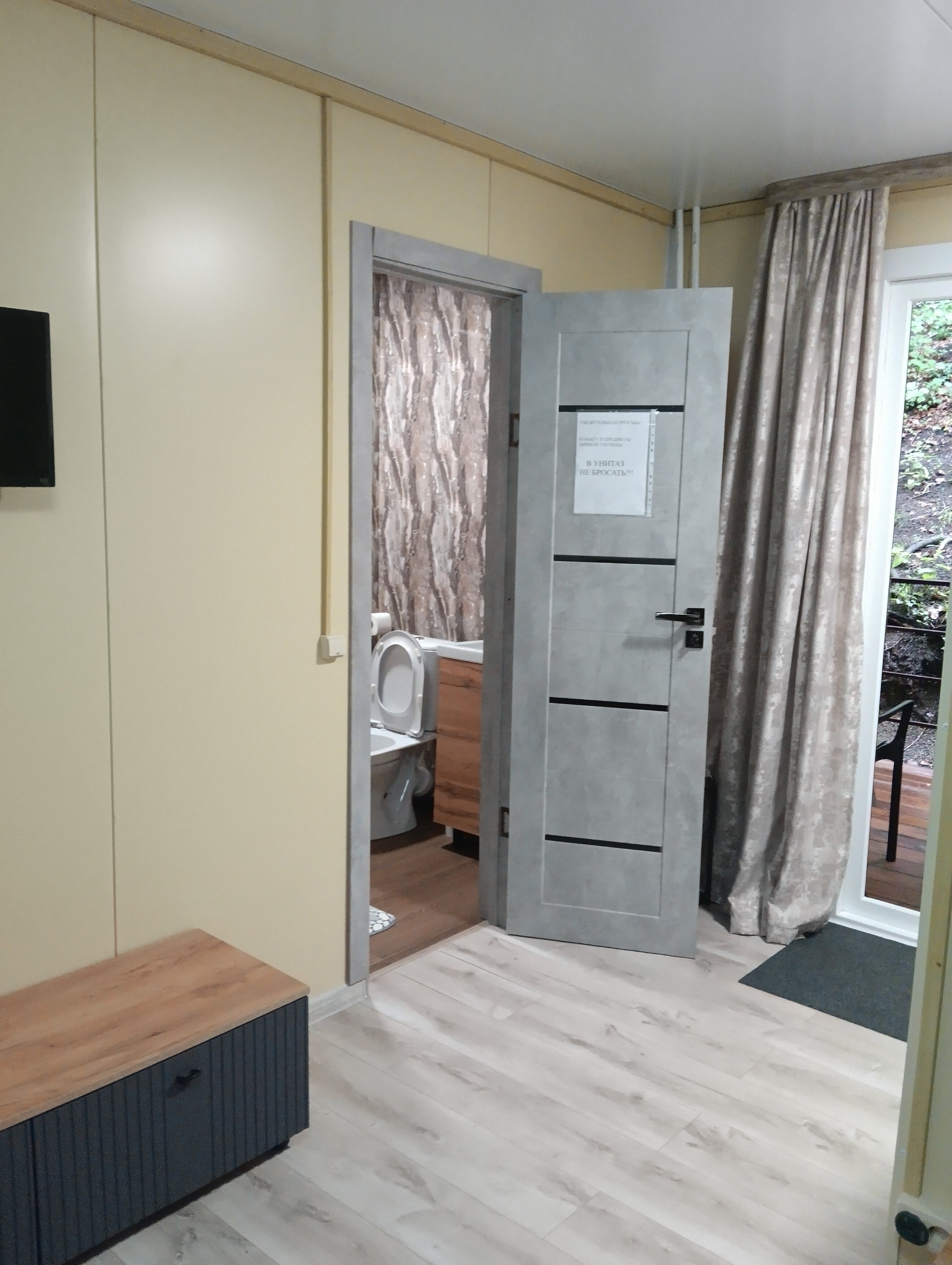 Фото Аммонит