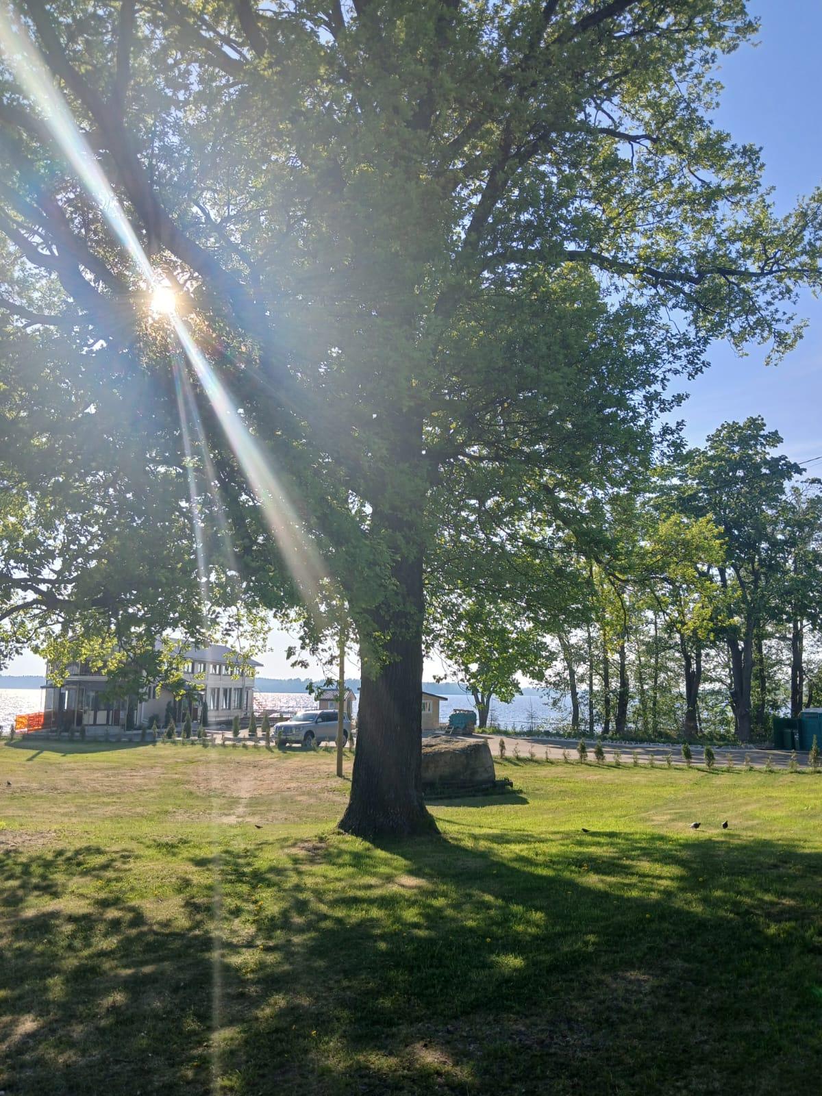 Фото Нептун