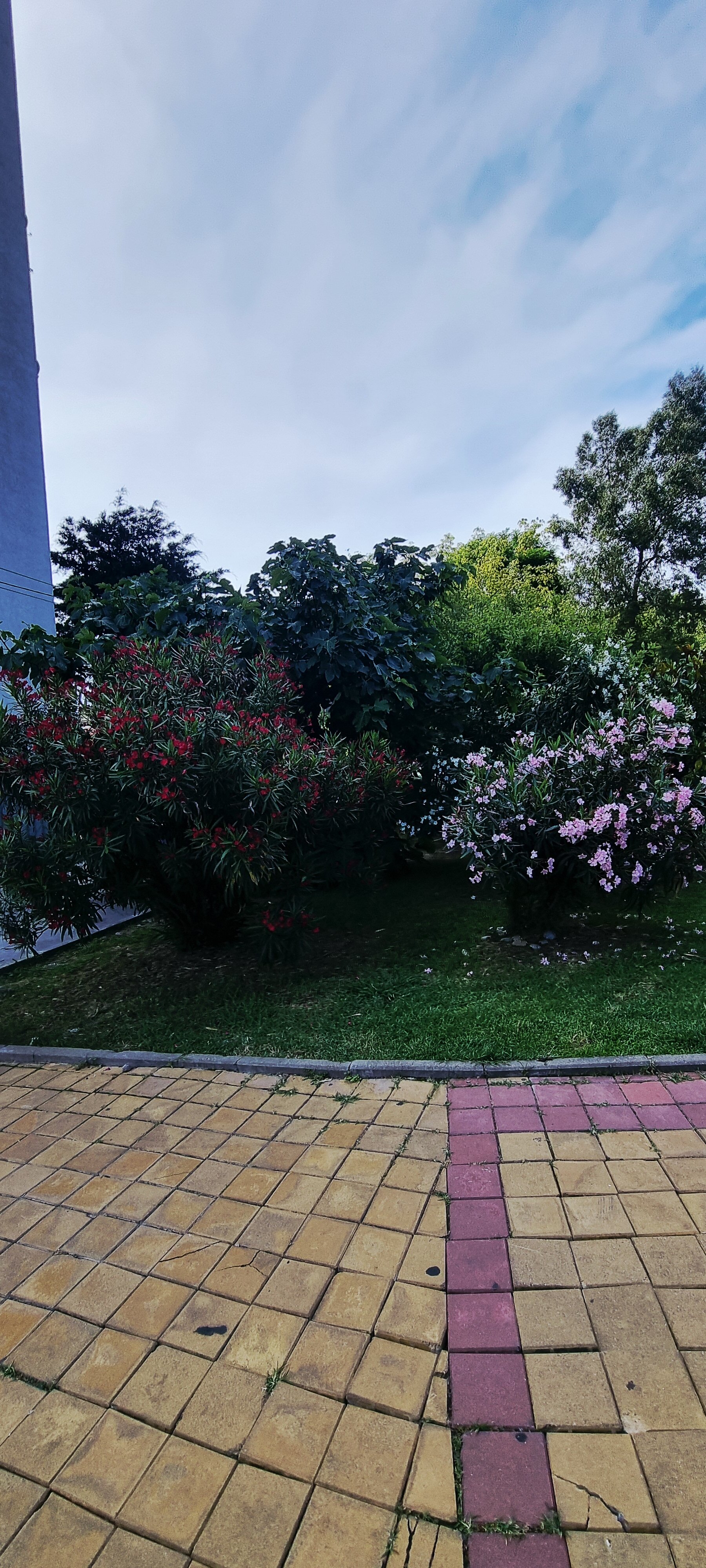 Фото Золотая миля