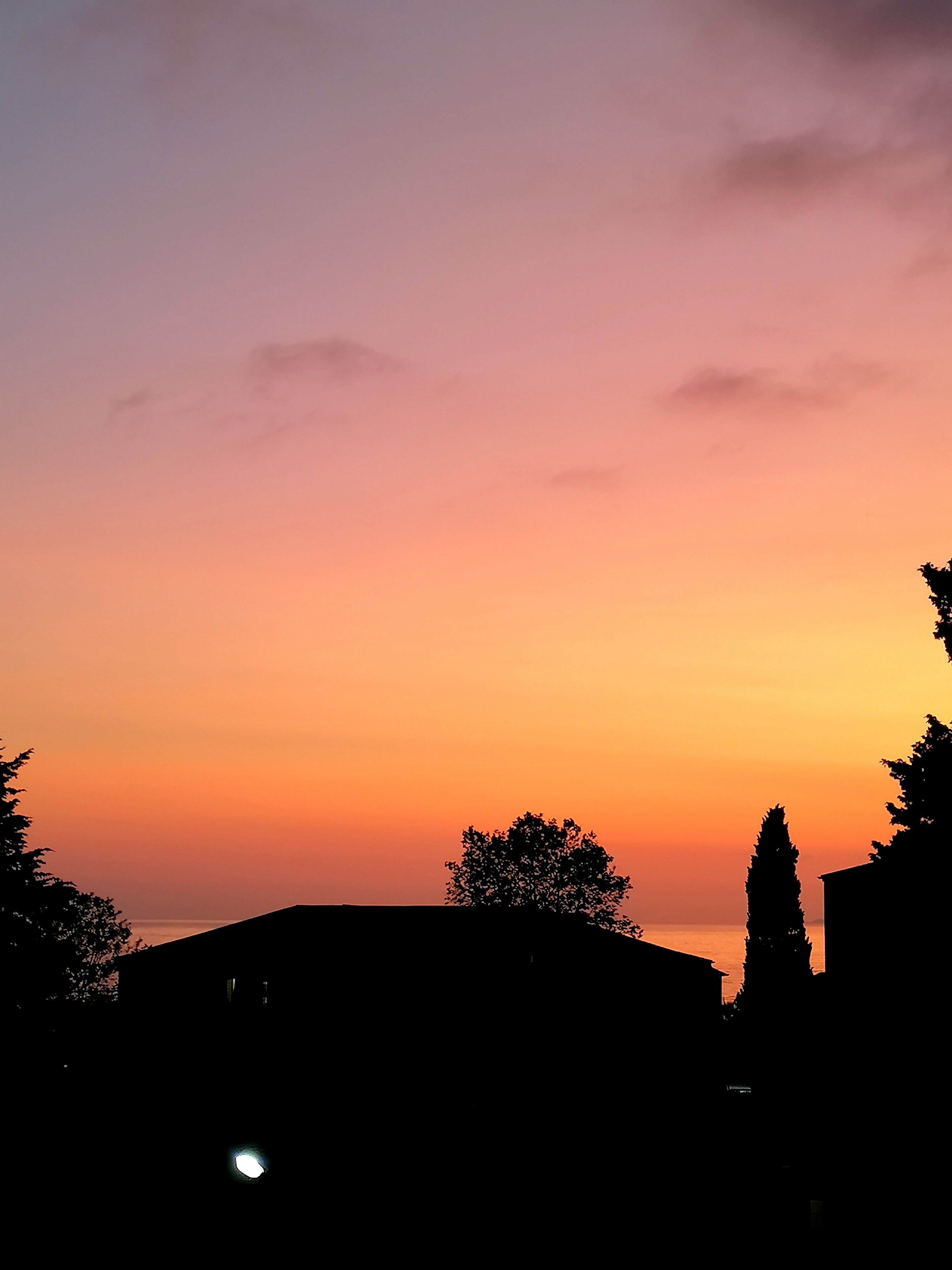 Фото Калипсо