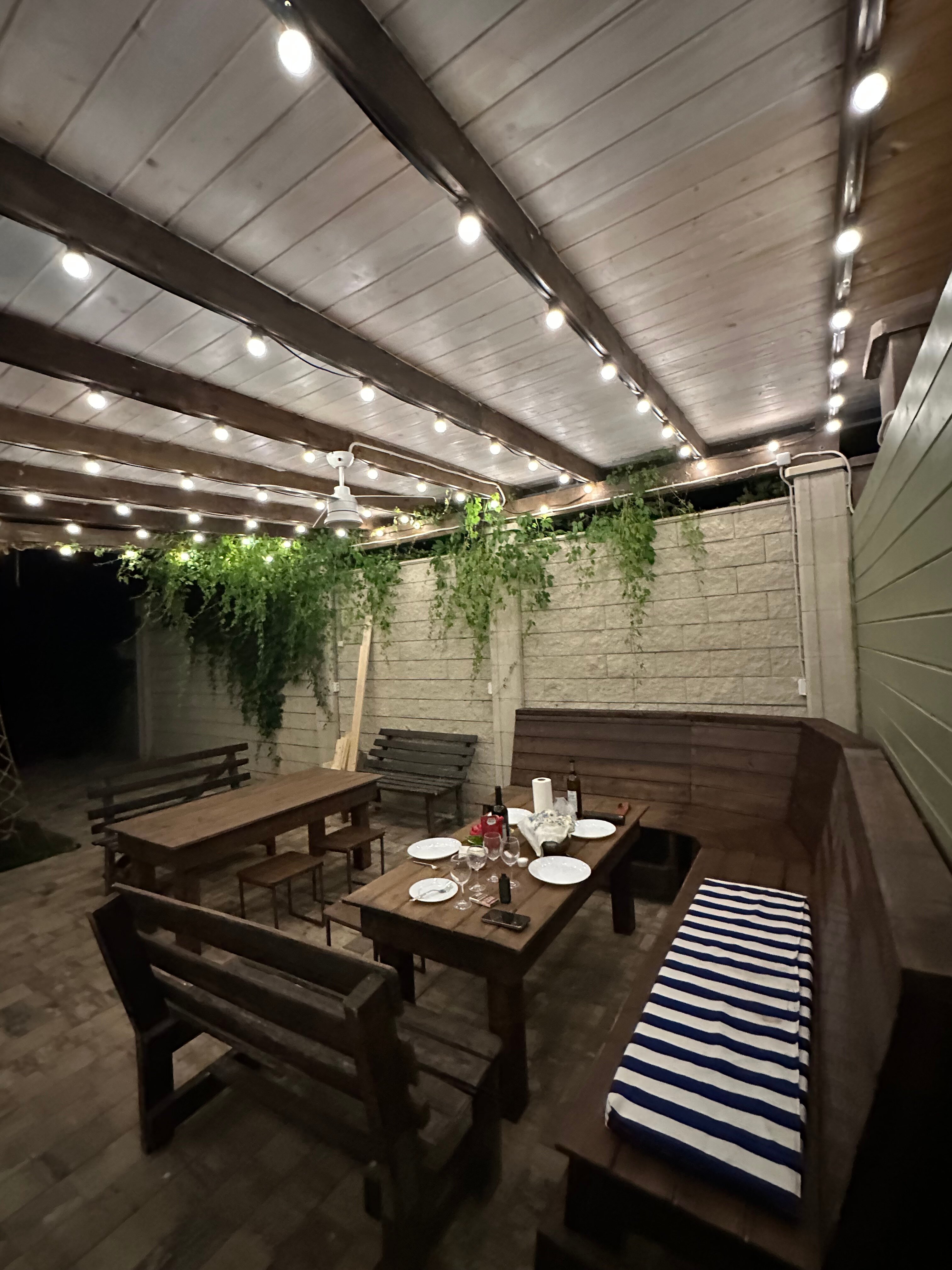 Фото Фламинго