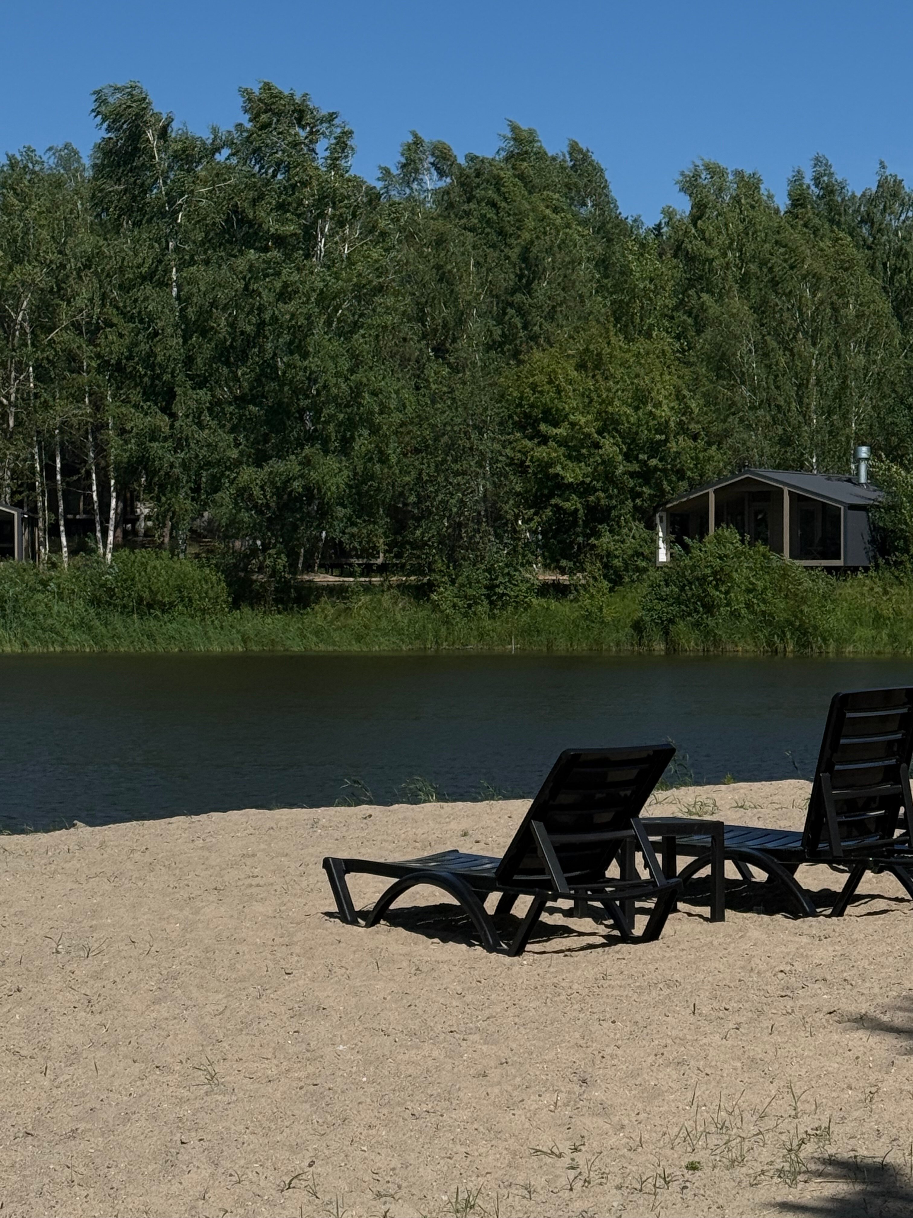 Фото Wood Wood Wood