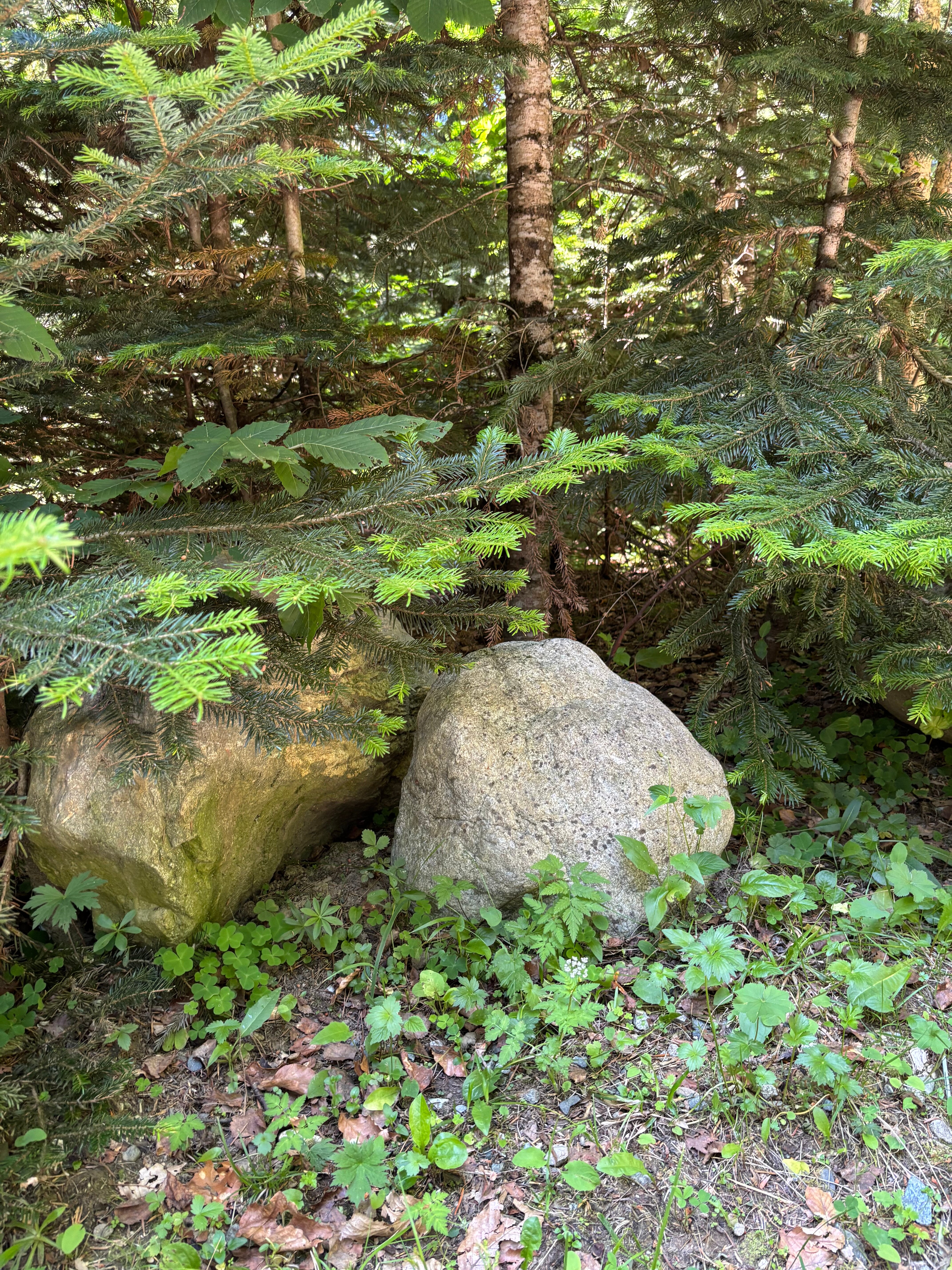 Фото Наир Архыз