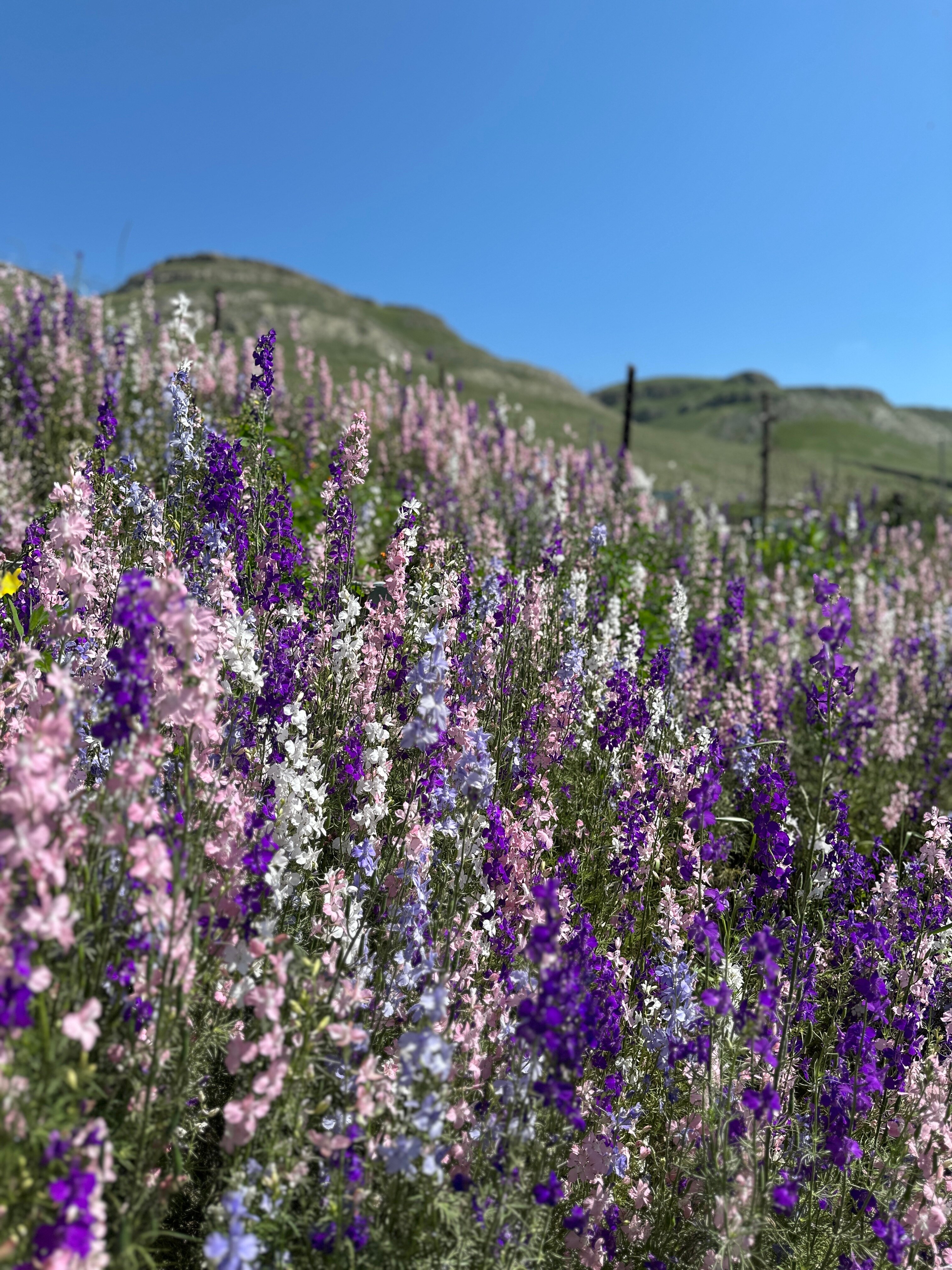 Фото Дом у Хатимы