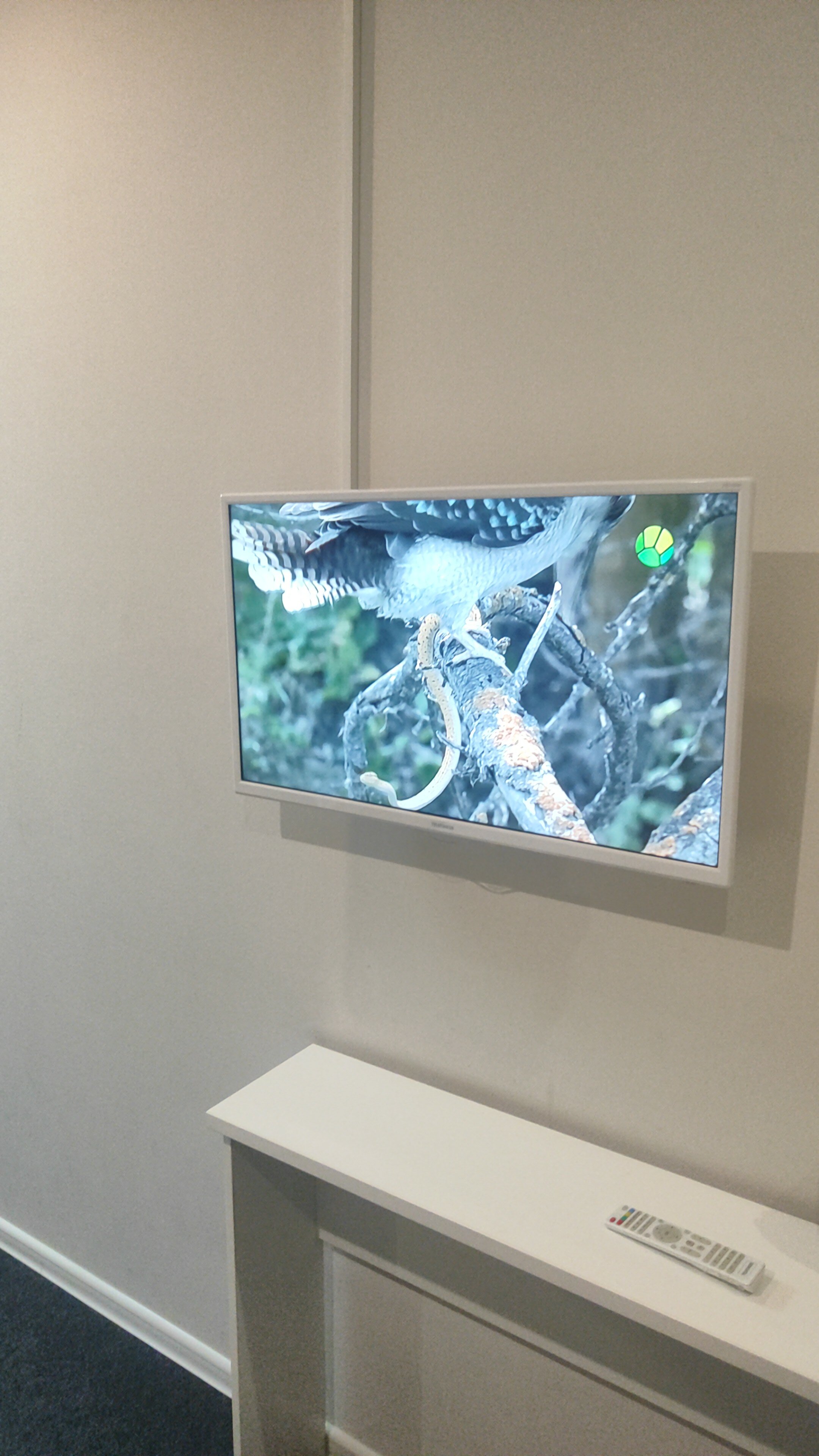 Фото Линдсей