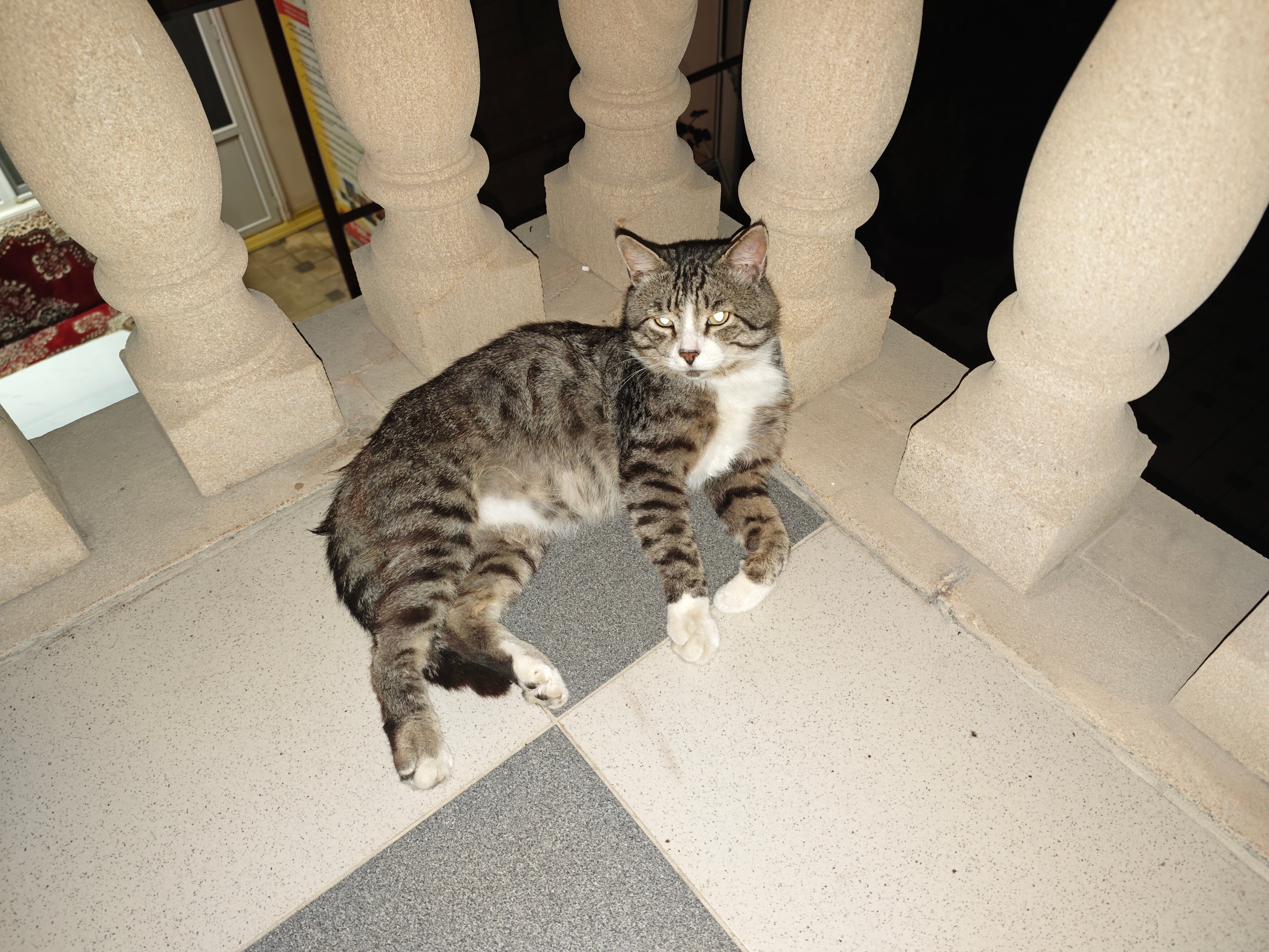 Фото Красный Бак