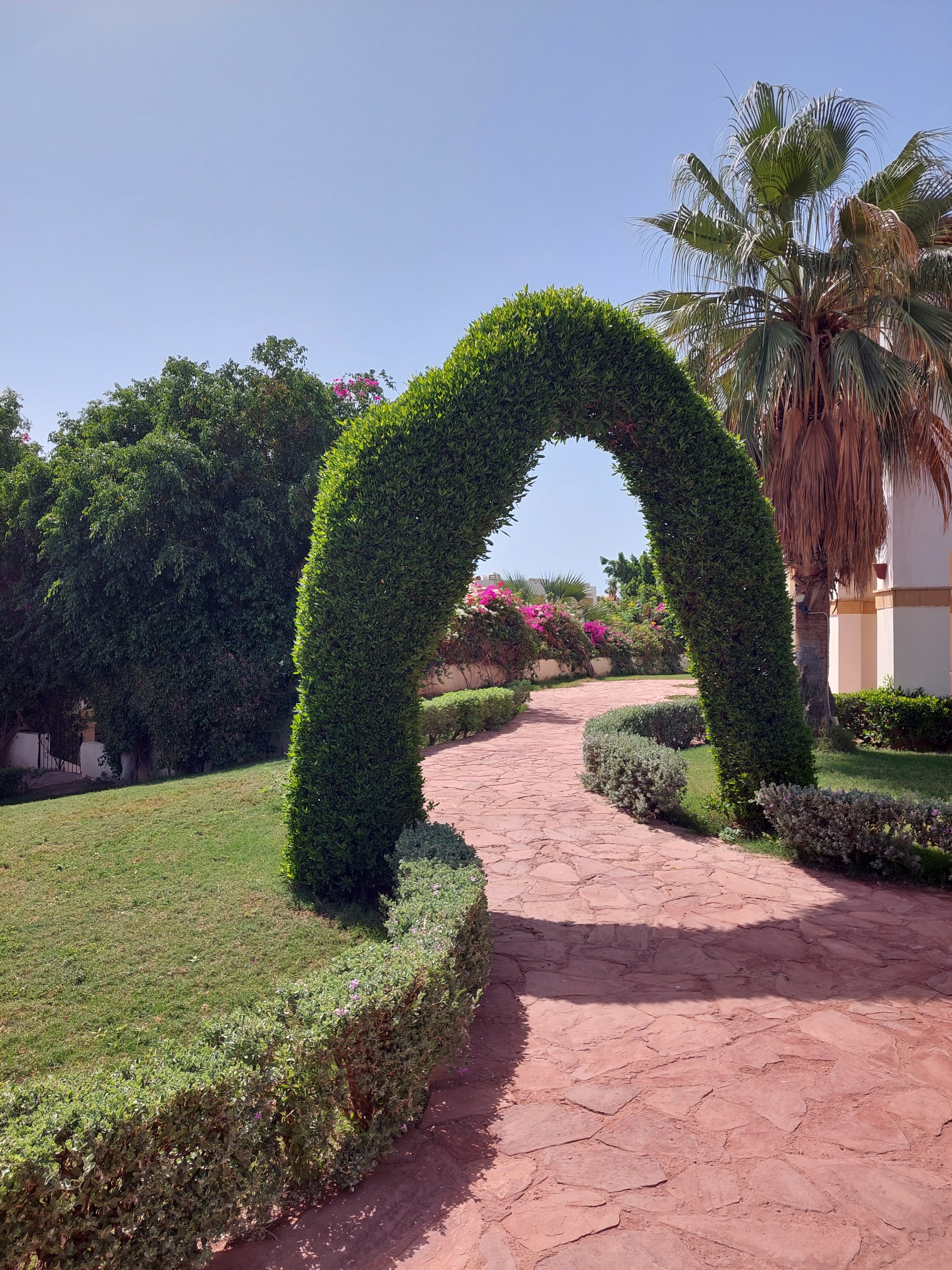 Фото Amphoras Blu