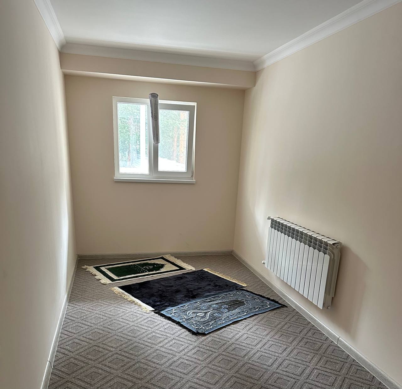 Фото Вольфрам