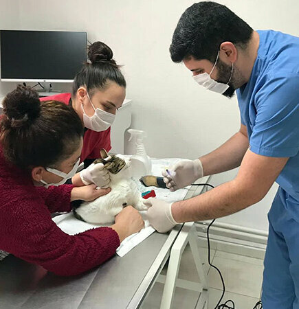 Veterinary clinic Bartin Anka Veterinary Clinic, Bartin, photo