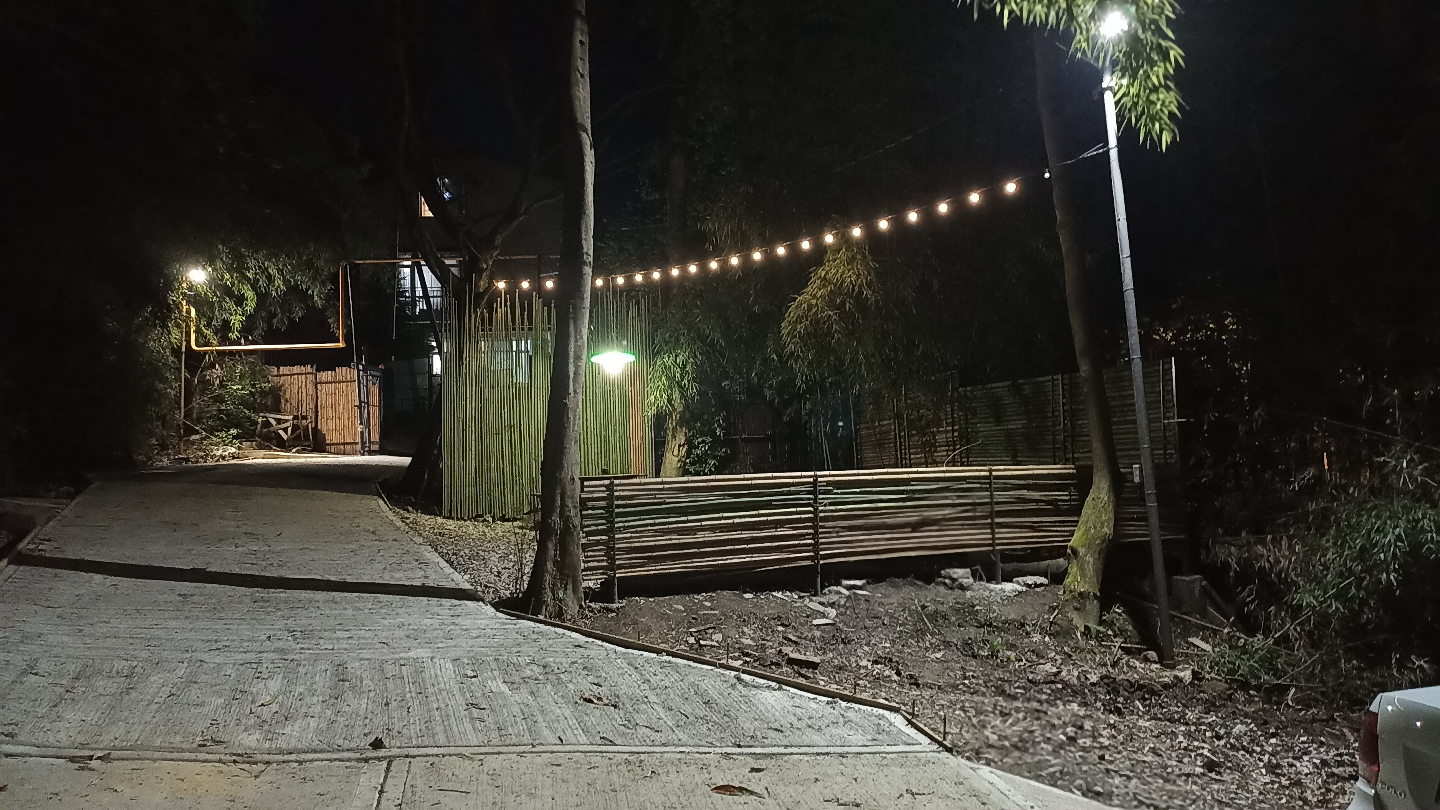 Фото Бамбуковая Роща