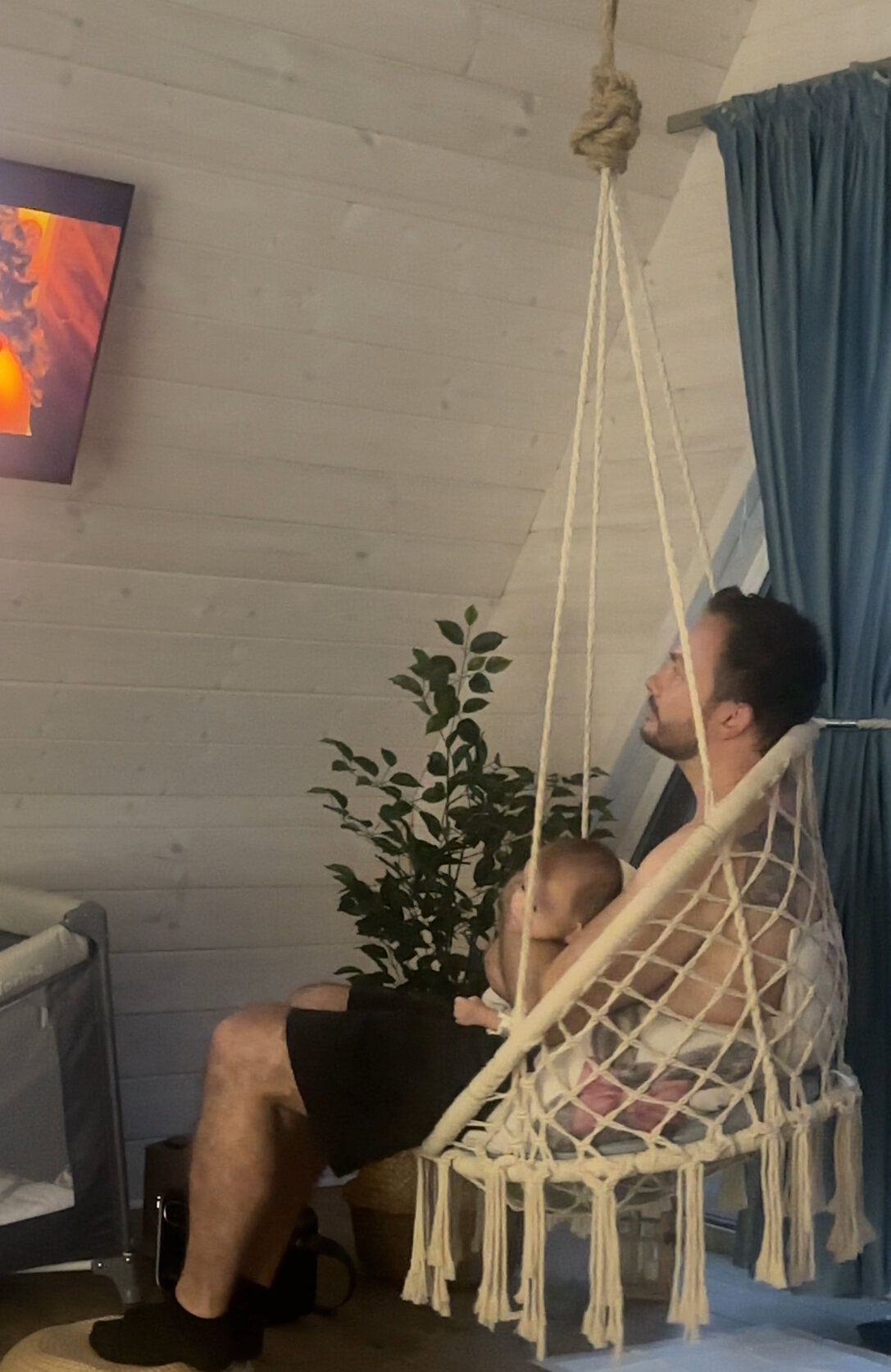 Фото 219120696027