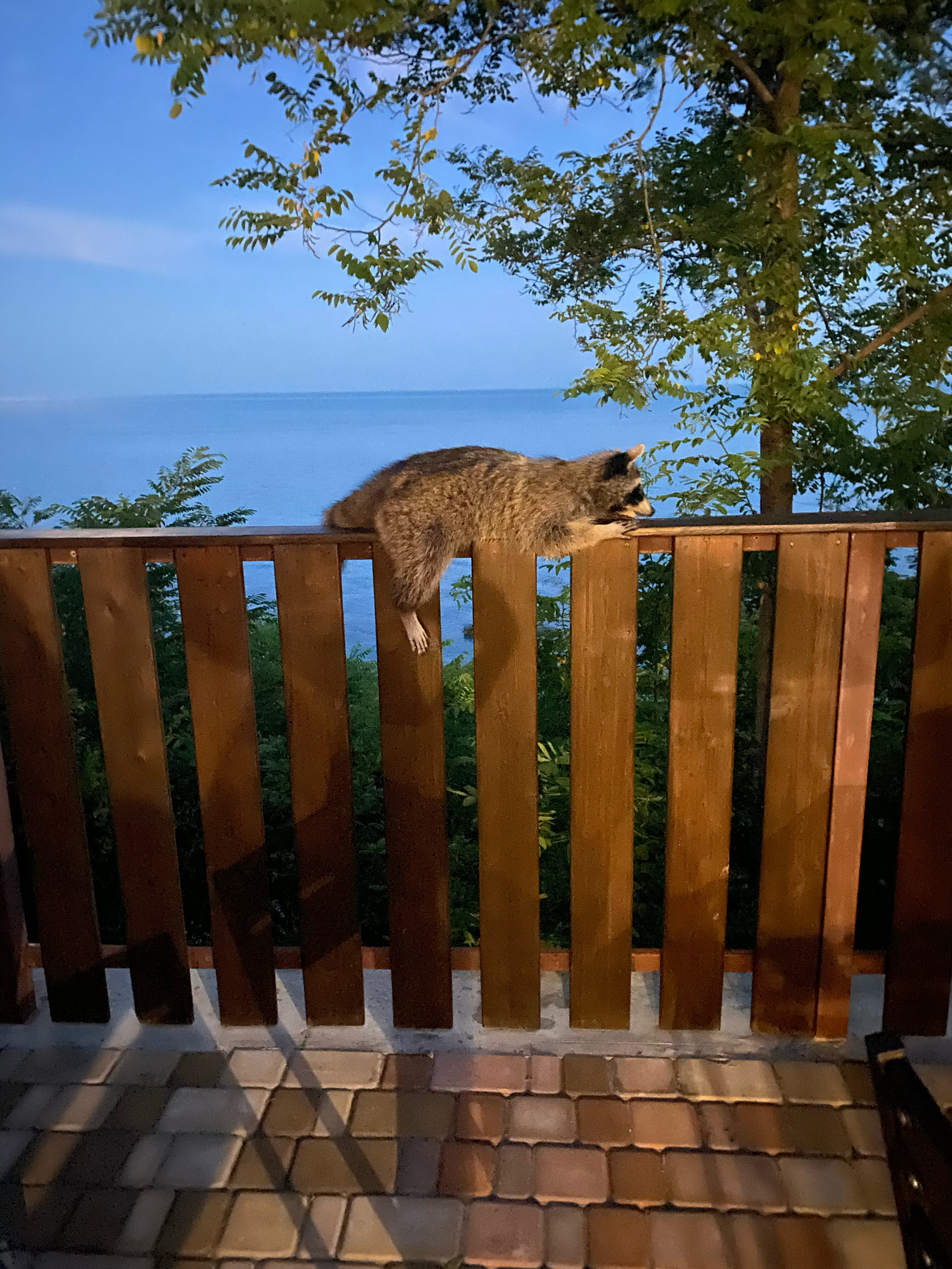 Фото Прибрежная сказка