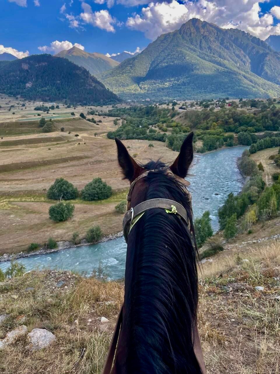 Фото Why Not Relax