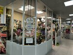 Хлоя (Narodnogo Opolcheniya Avenue, 6), cafe