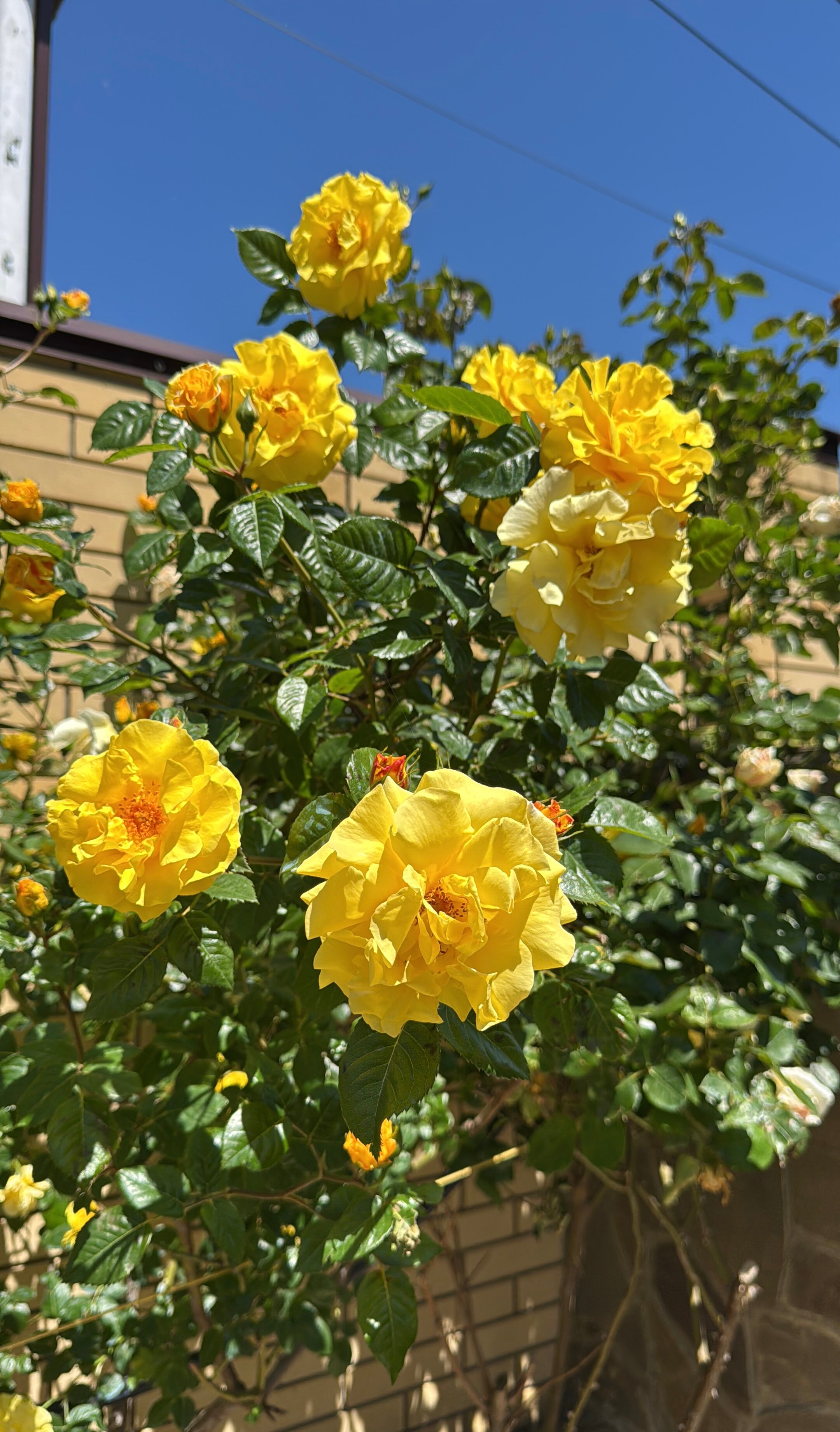 Фото Маленькая Гагра