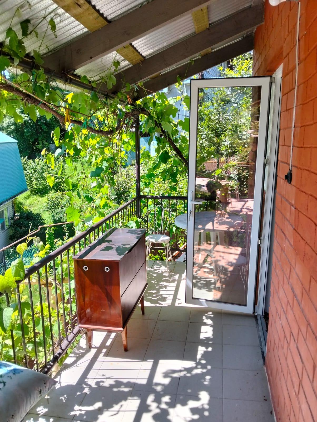 Фото Под пальмой