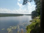 Пристань (Ленинградская область, Кингисеппский район, Кузёмкинское сельское поселение), пристань в Санкт‑Петербурге и Ленинградской области